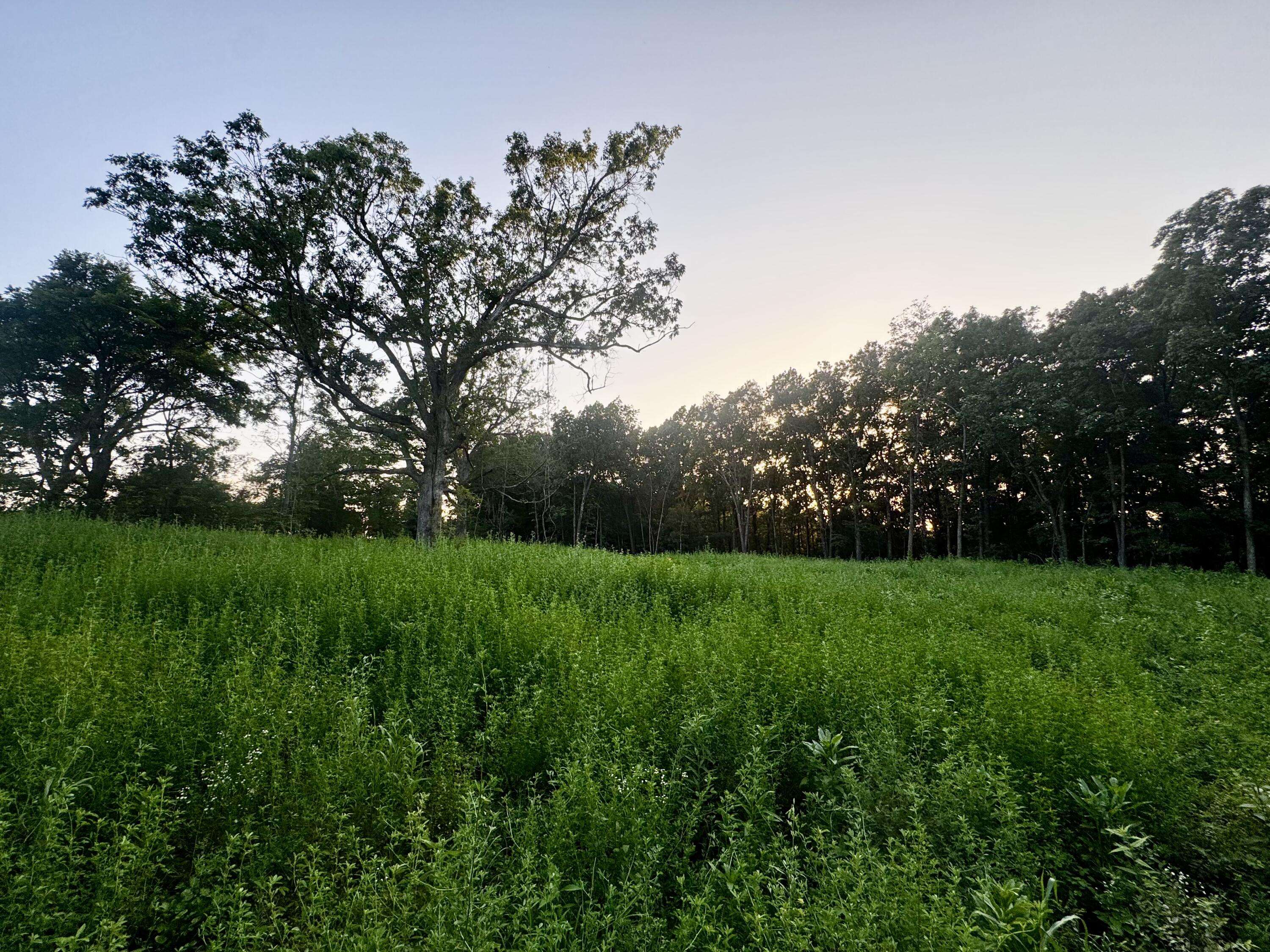 000 Lucky RD, Seymour, MO 65746