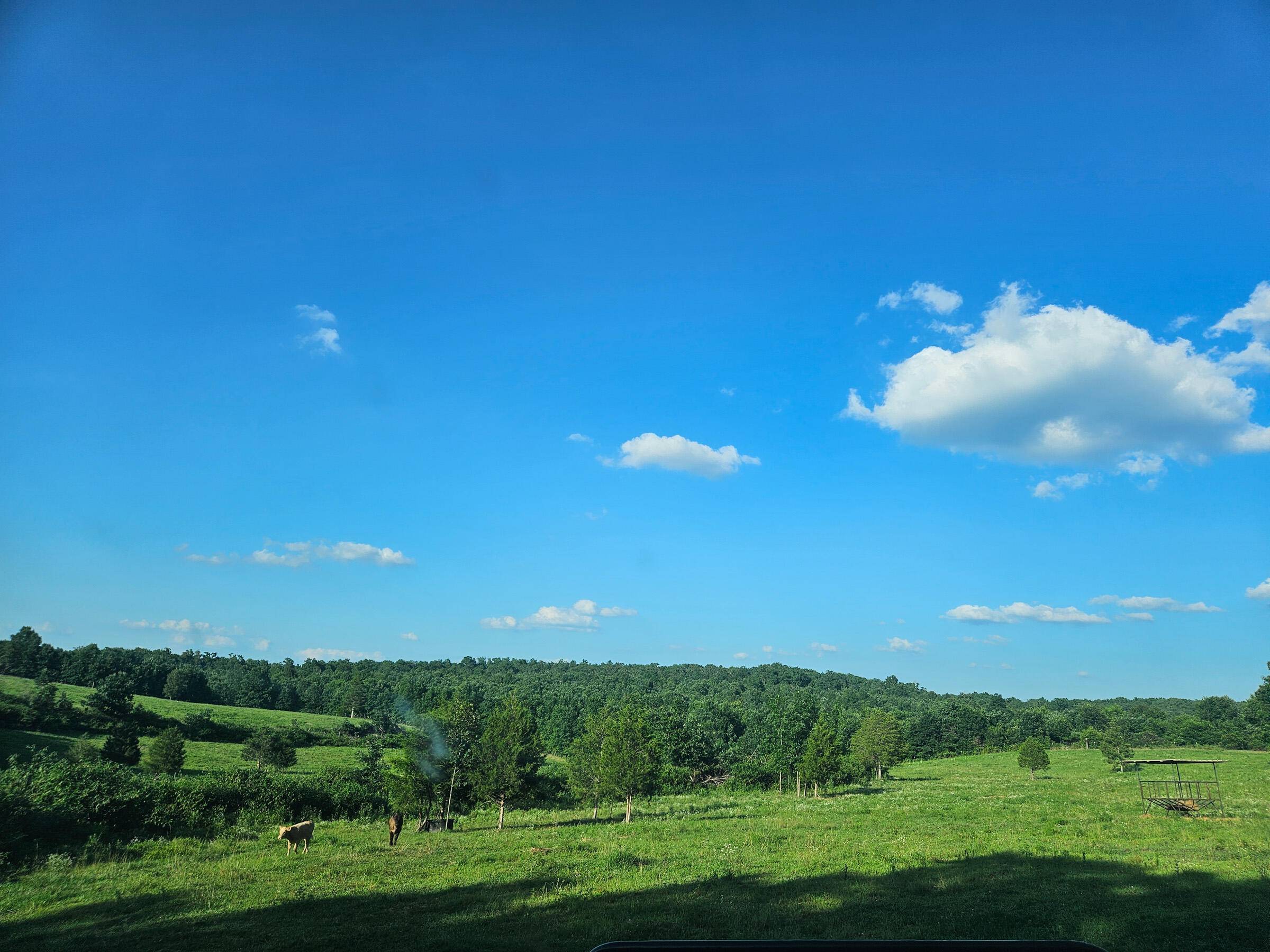 4118 County Road U-659, Birch Tree, MO 65438