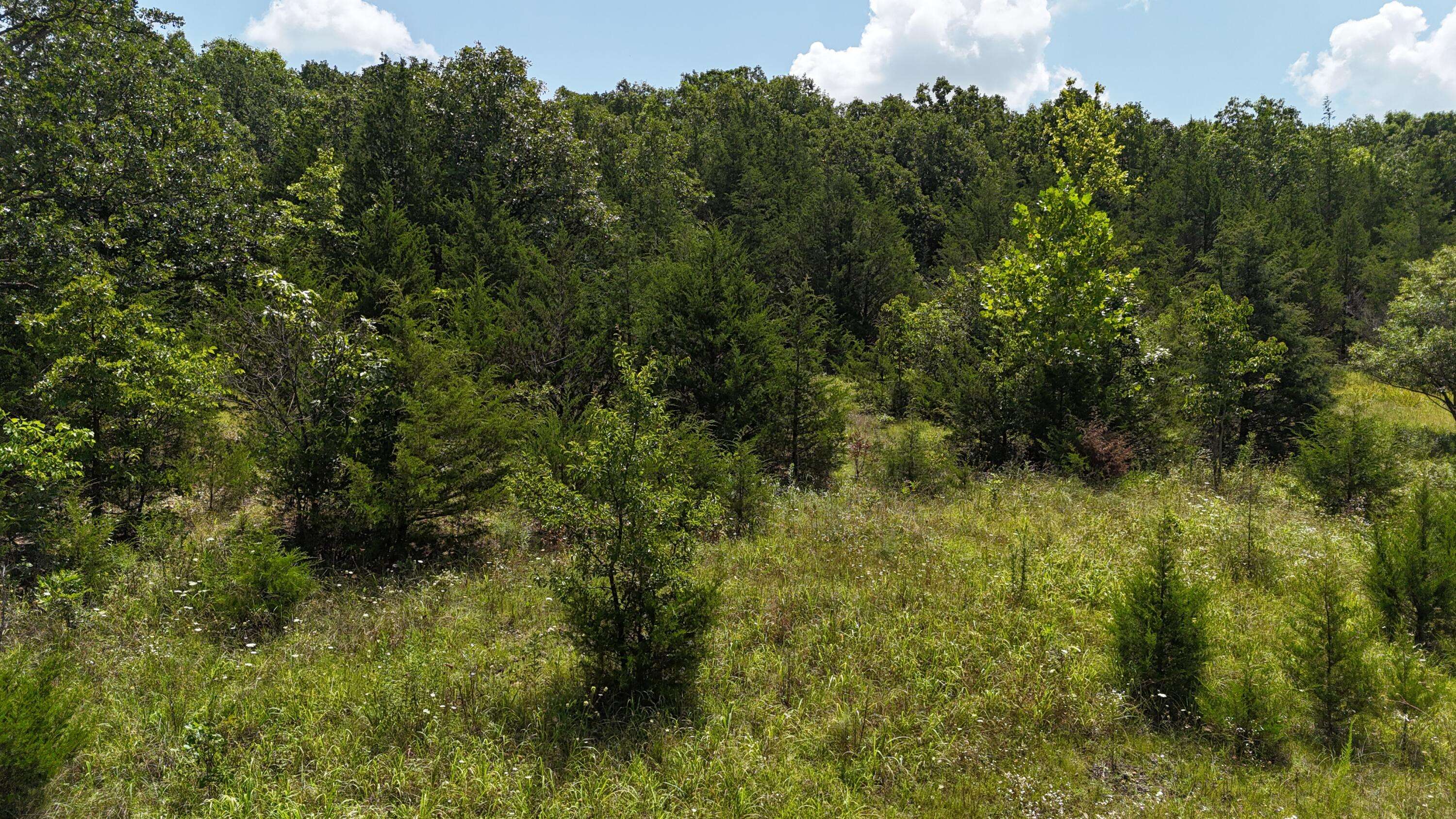 0 Mills Valley BLVD, Marshfield, MO 65706