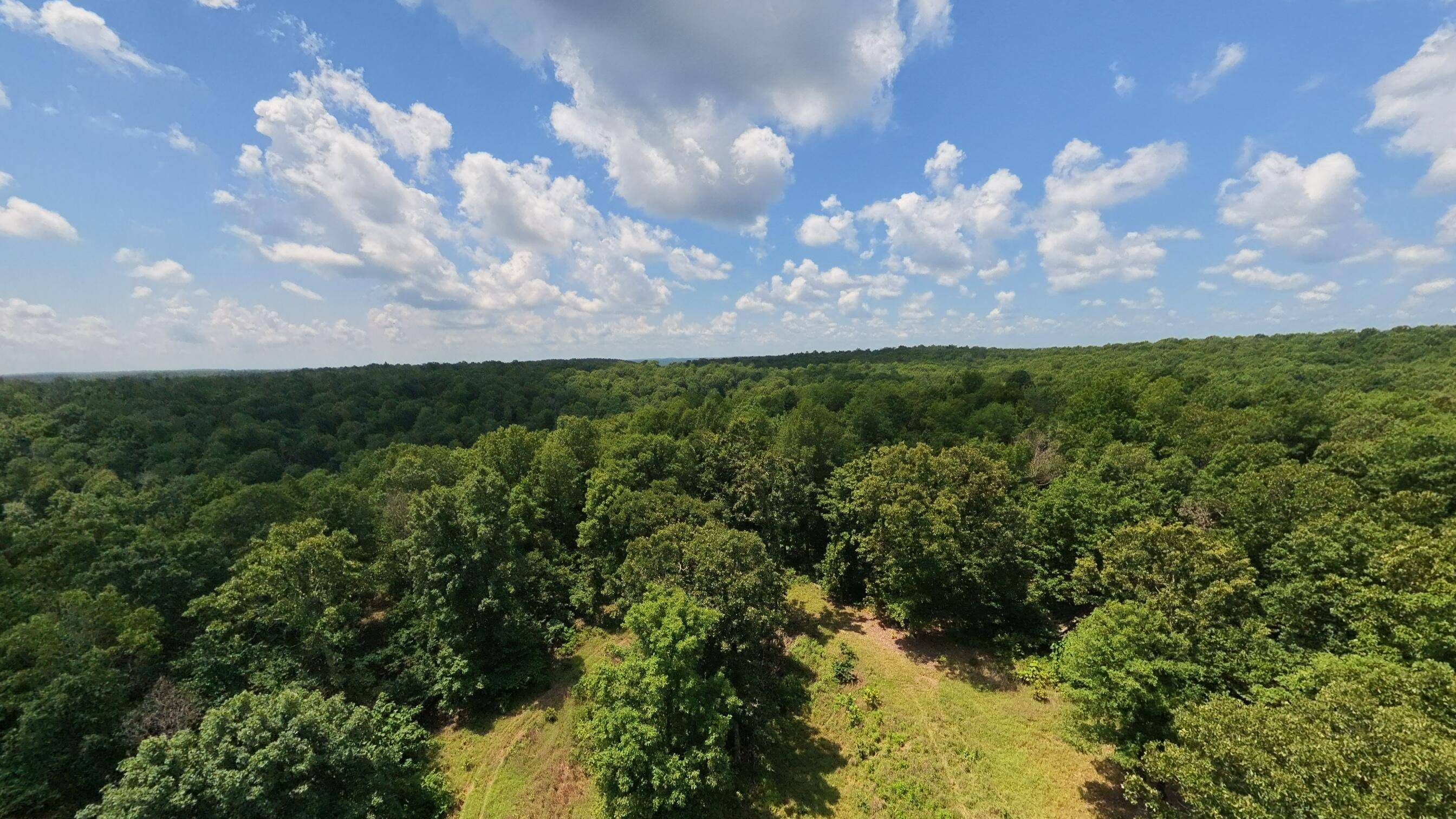 10824 Upper Janes Creek RD, Ravenden, AR 72459
