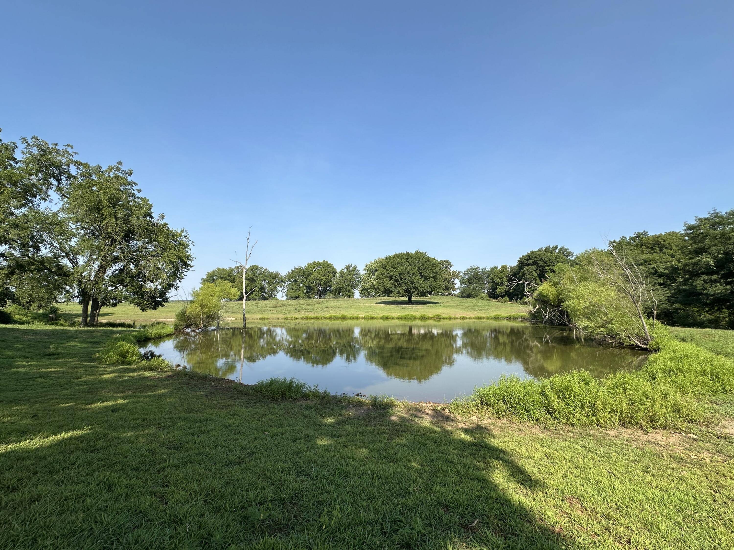 359 E Dade 74, Greenfield, MO 65661