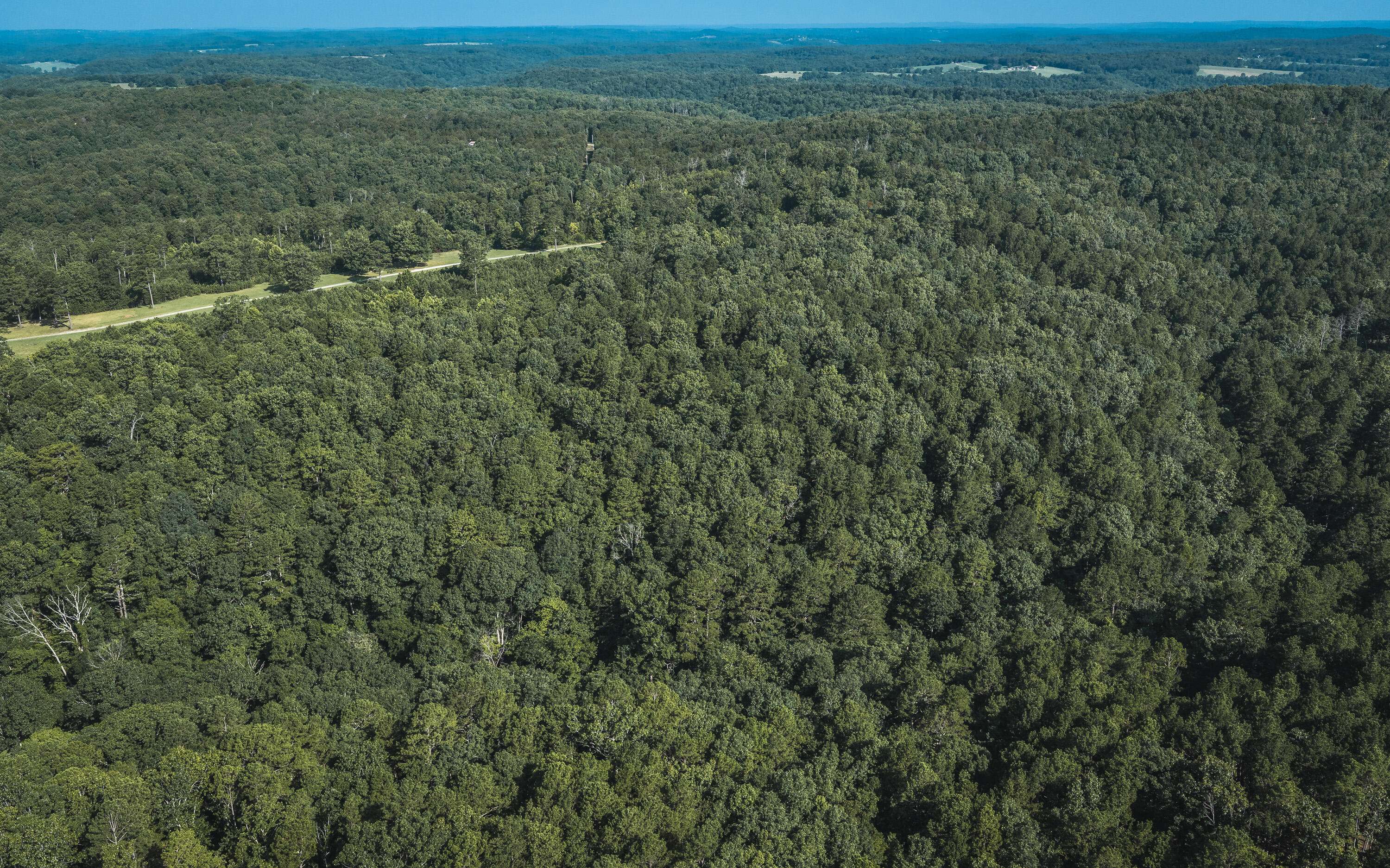 Tract 4 Private DR #2336, Norwood, MO 65717