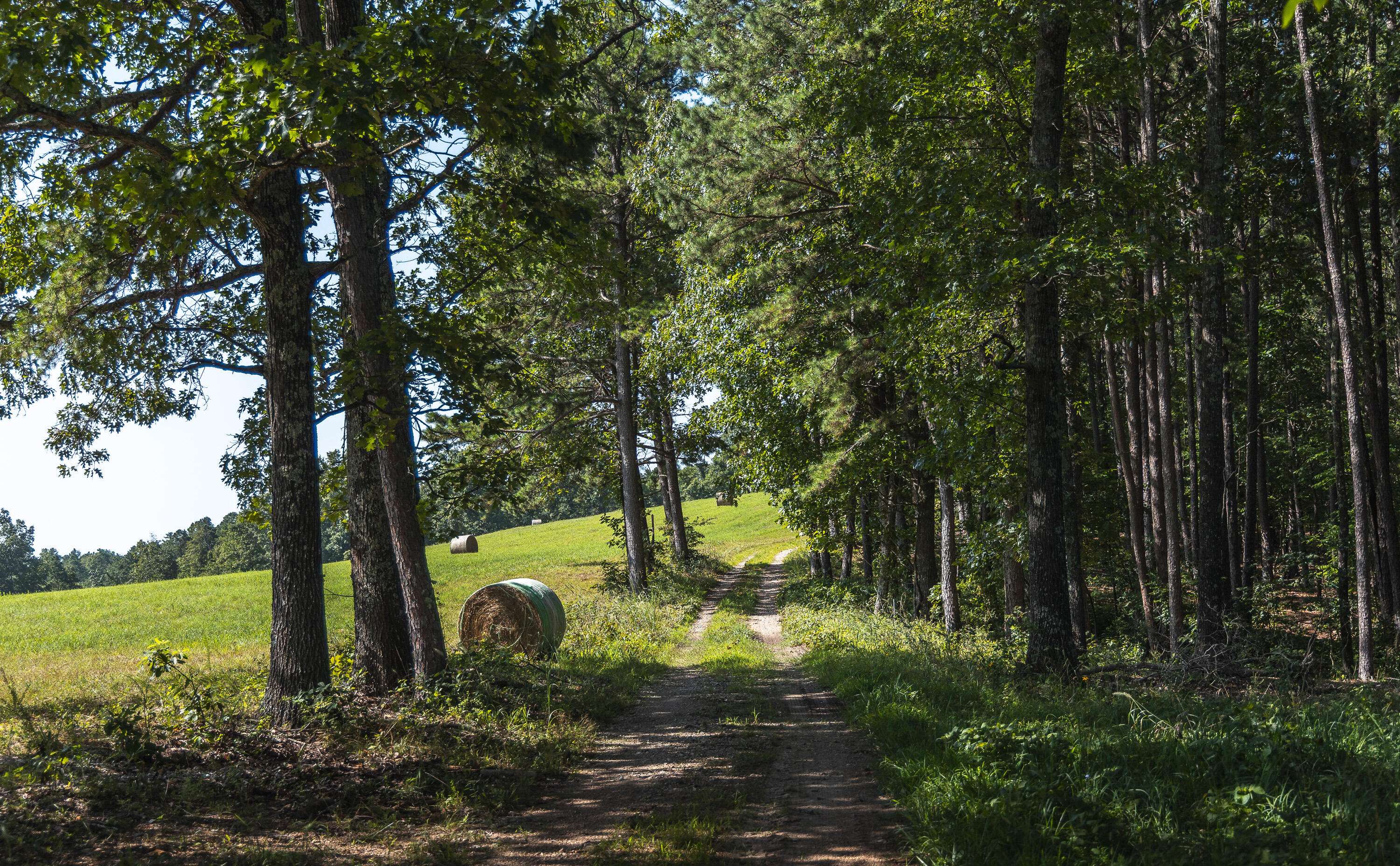 Tract 4 Private DR #2336, Norwood, MO 65717
