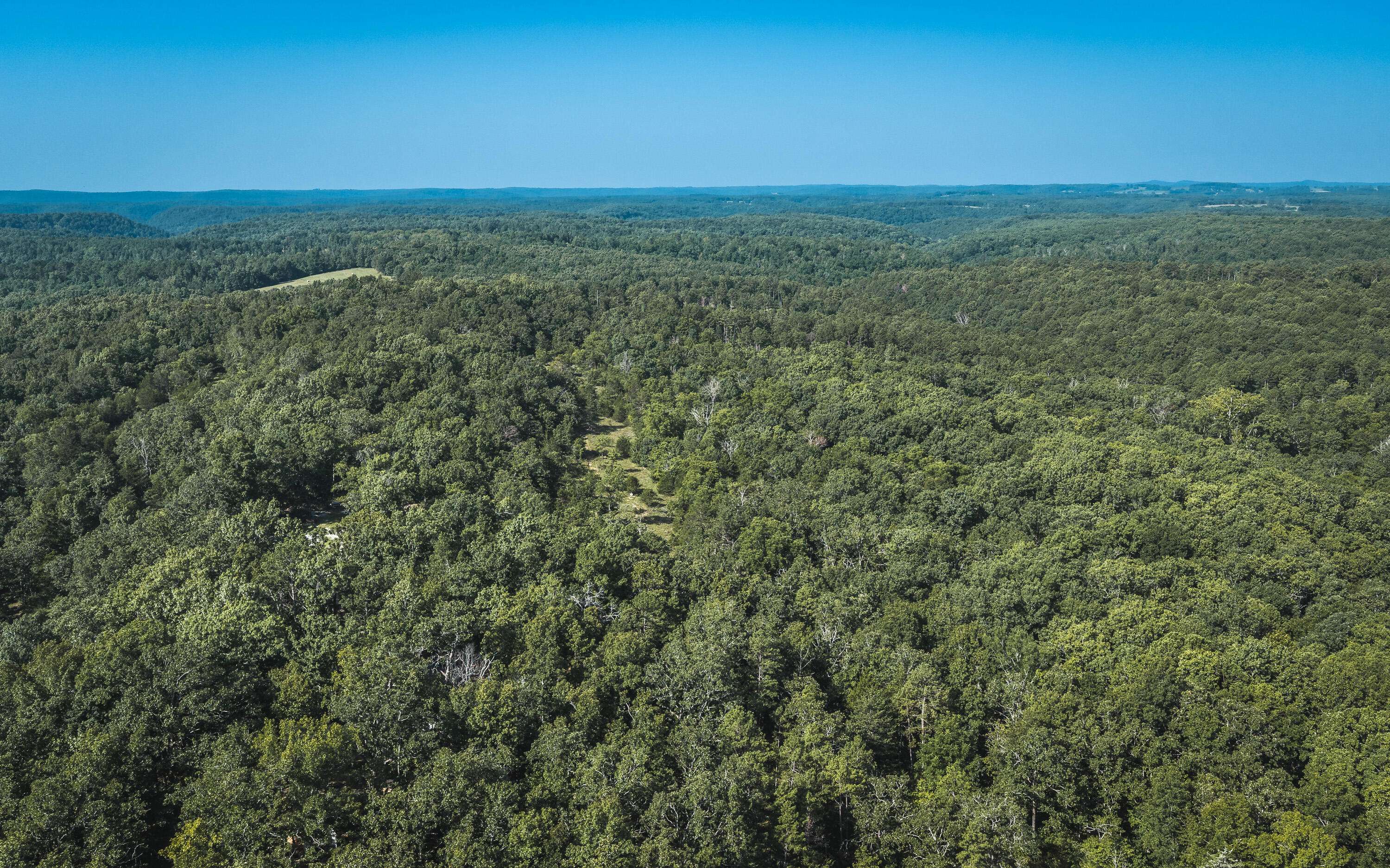 Tract 4 Private DR #2336, Norwood, MO 65717