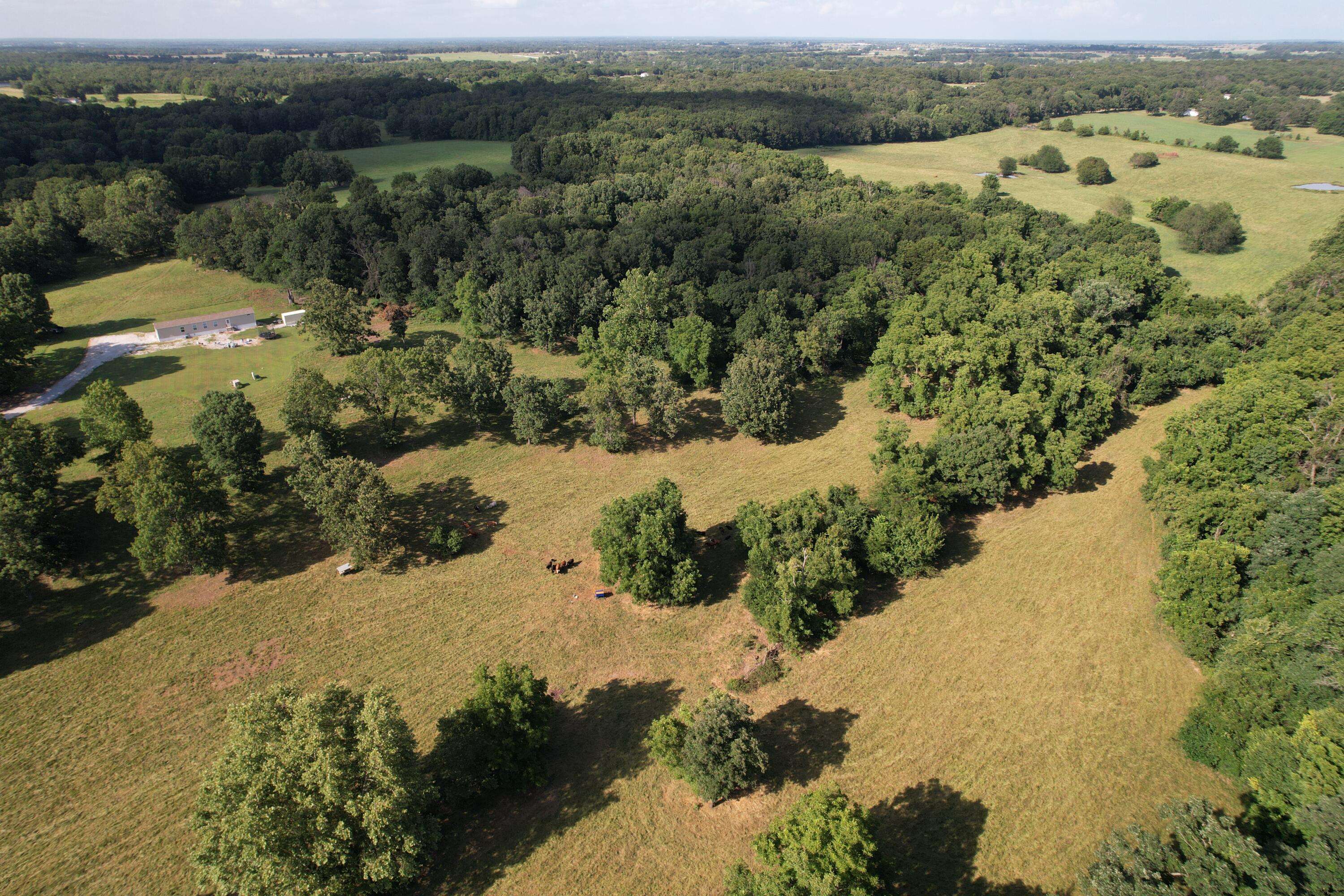 6731 Raccoon RD, Granby, MO 64844