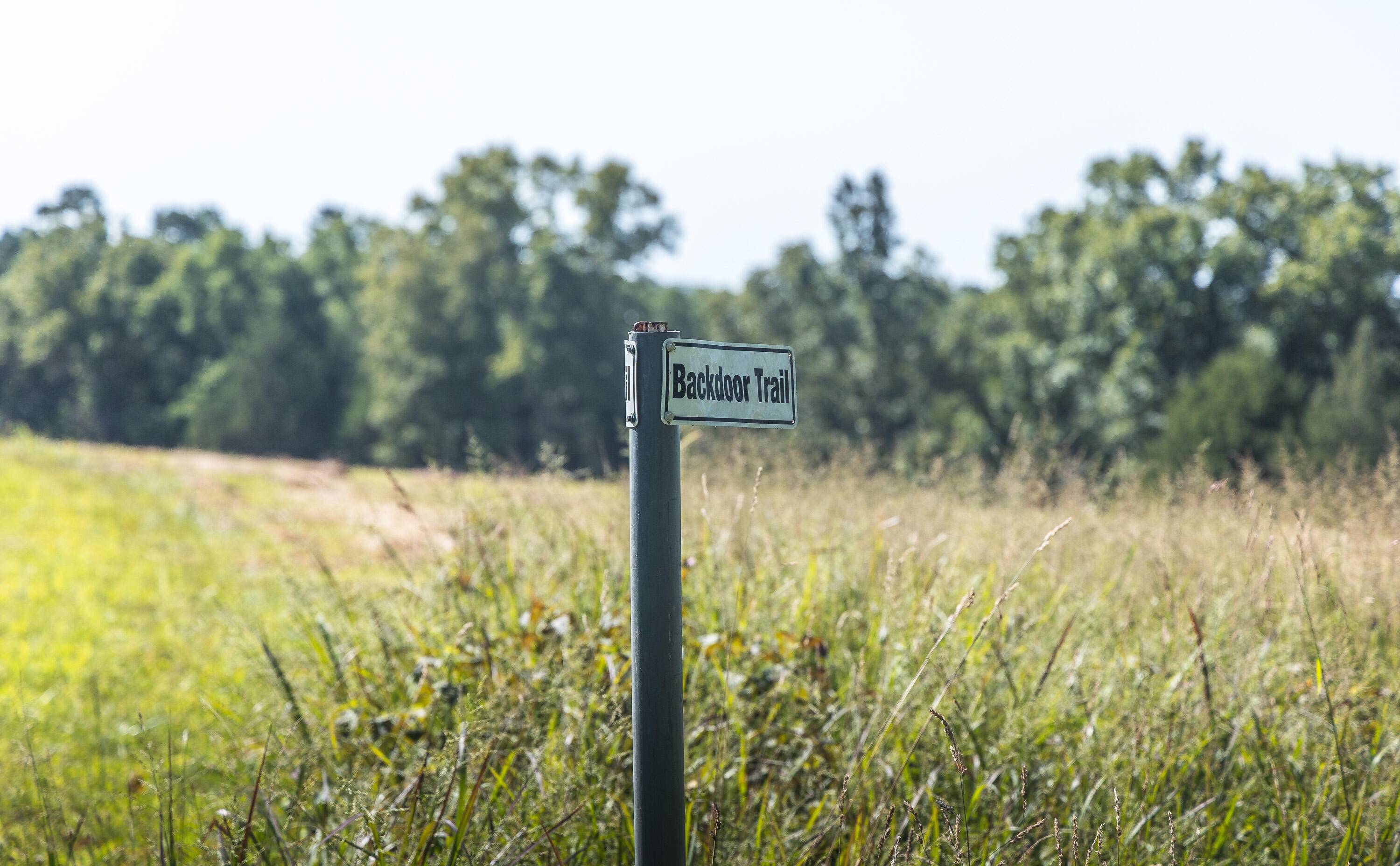 Tract 6 Private DR #2336, Norwood, MO 65717