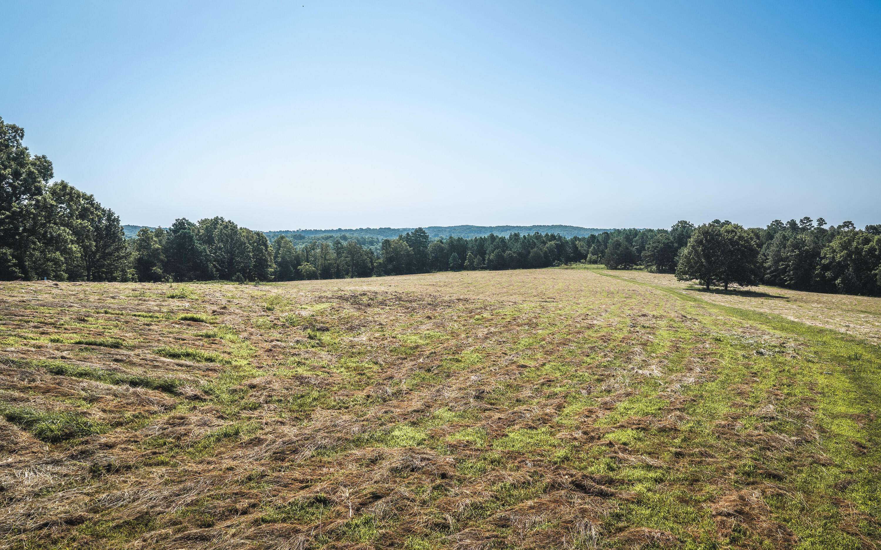 Tract 7 Private DR #2336, Norwood, MO 65717