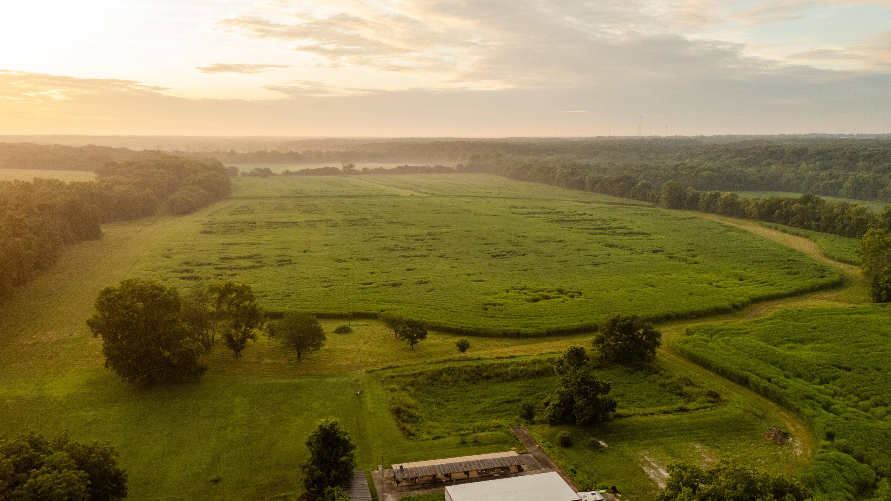 5492 Cedar LN, Reeds, MO 64859