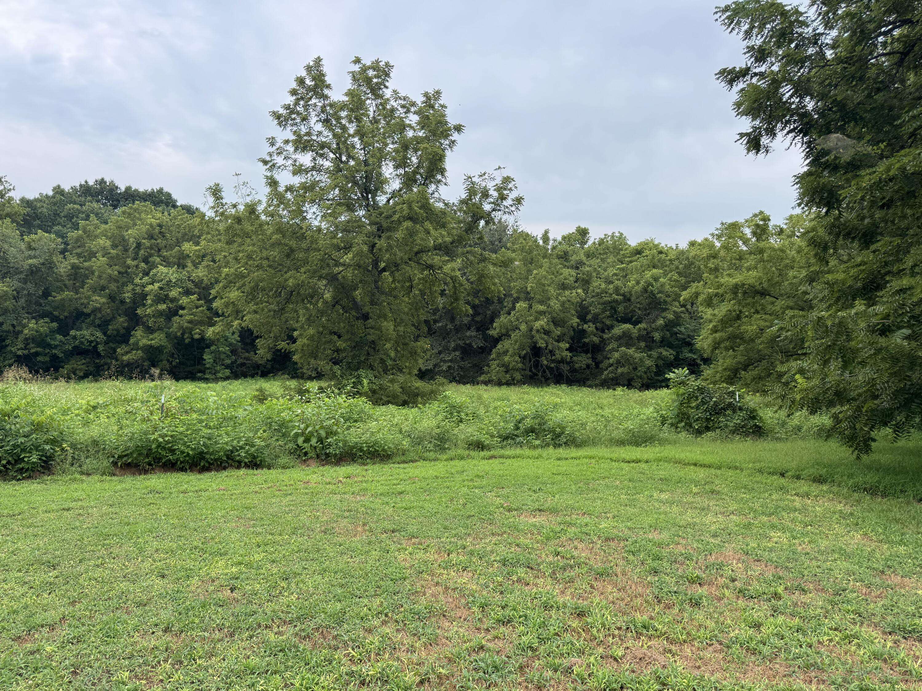 172 S Dade 249, Walnut Grove, MO 65770