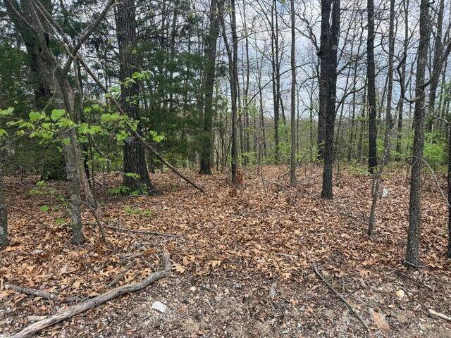 000 Entry RD #Lot 10, Ridgedale, MO 65739