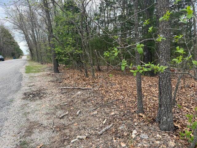000 Entry RD #Lot 10, Ridgedale, MO 65739