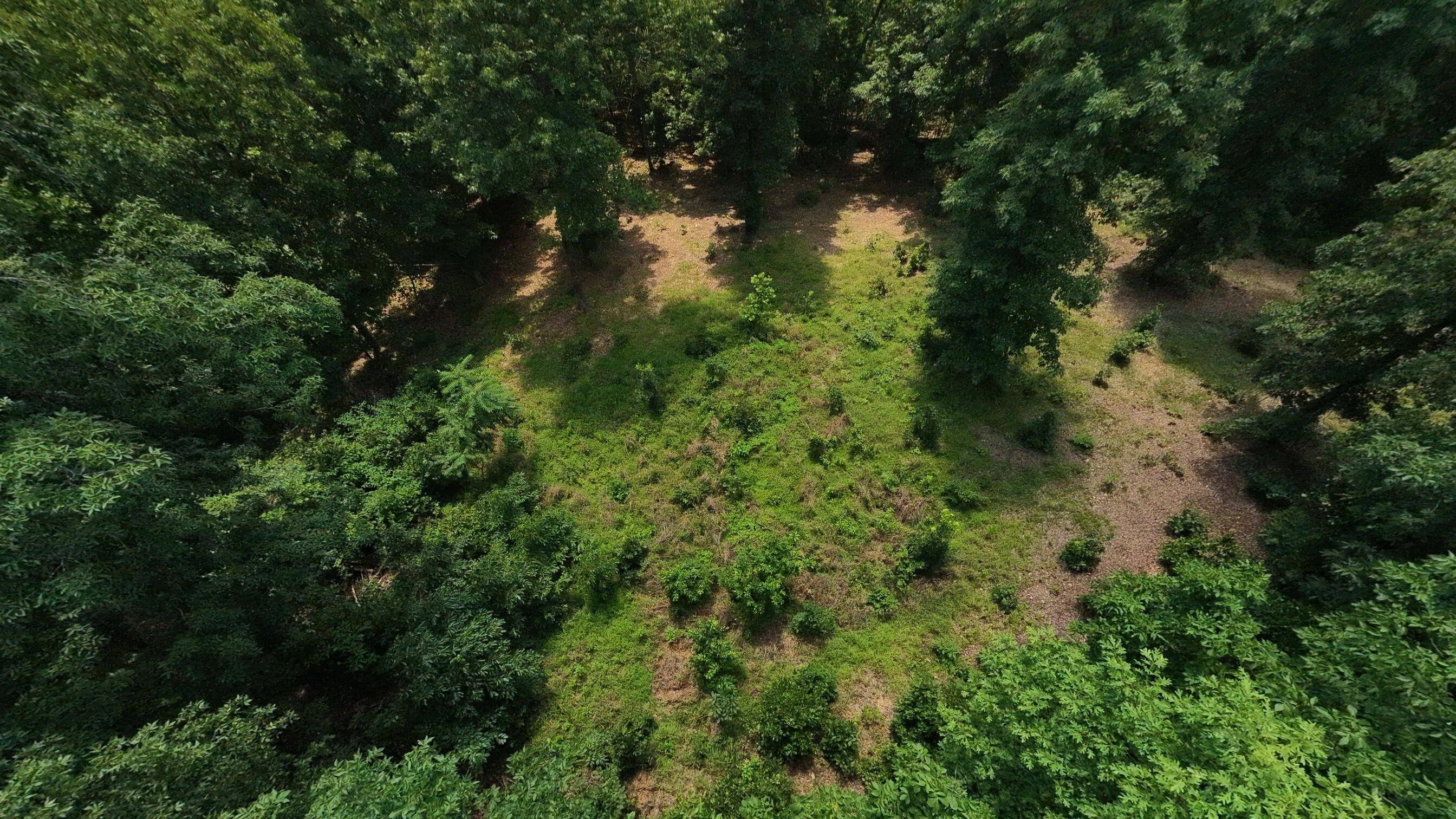 Tract 4 Upper Janes Creek RD, Ravenden, AR 72459