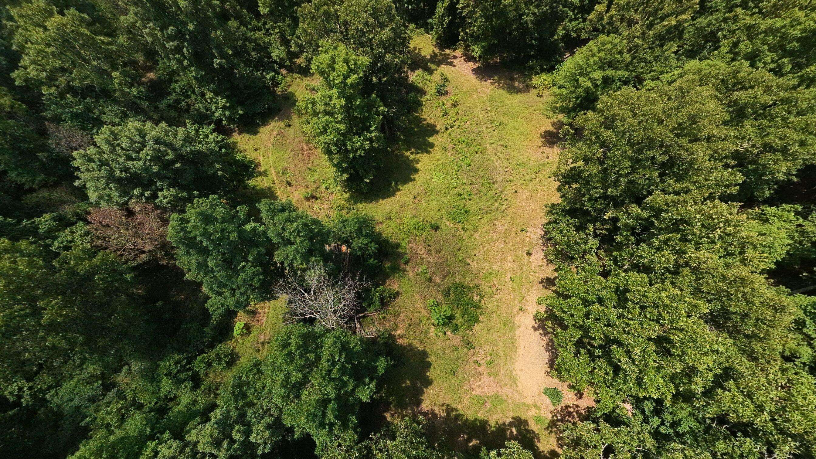 Tract 4 Upper Janes Creek RD, Ravenden, AR 72459