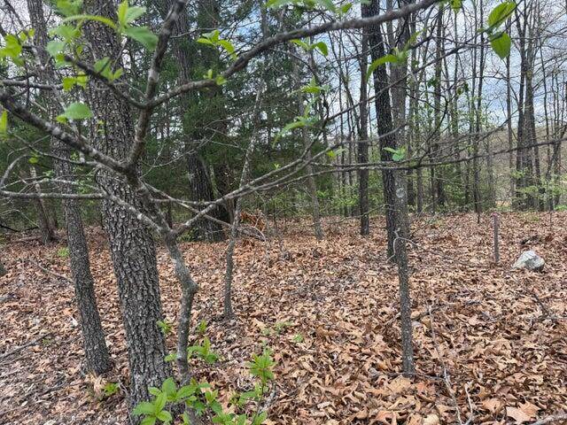 000 Entry RD #Lot 11-12, Ridgedale, MO 65739