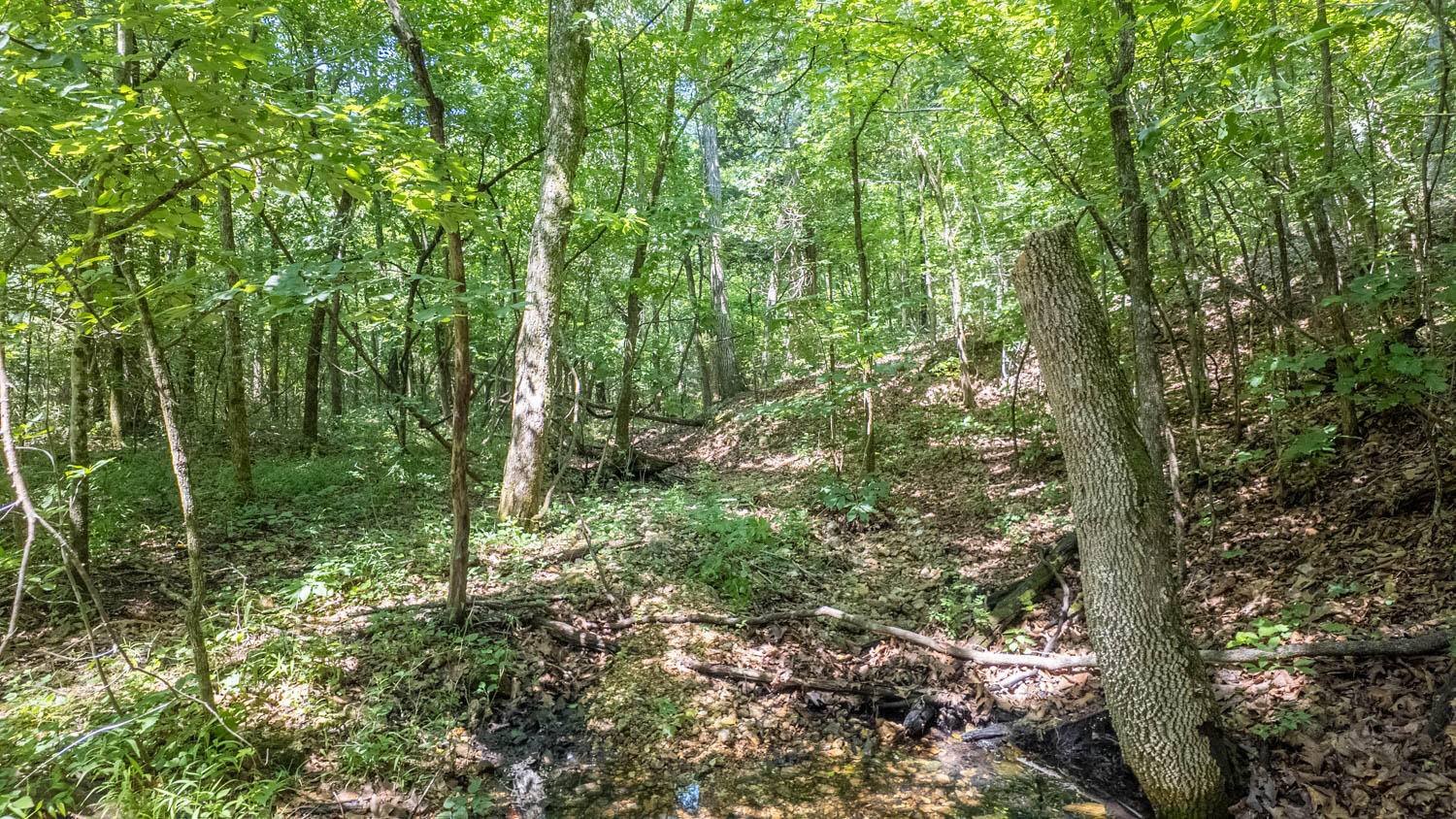 Tract 3 Upper Janes Creek RD, Ravenden, AR 72459