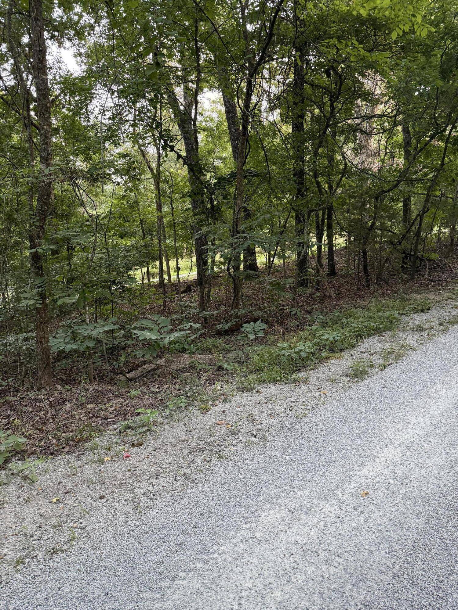 Tbd Chiefs LN, Shell Knob, MO 65747