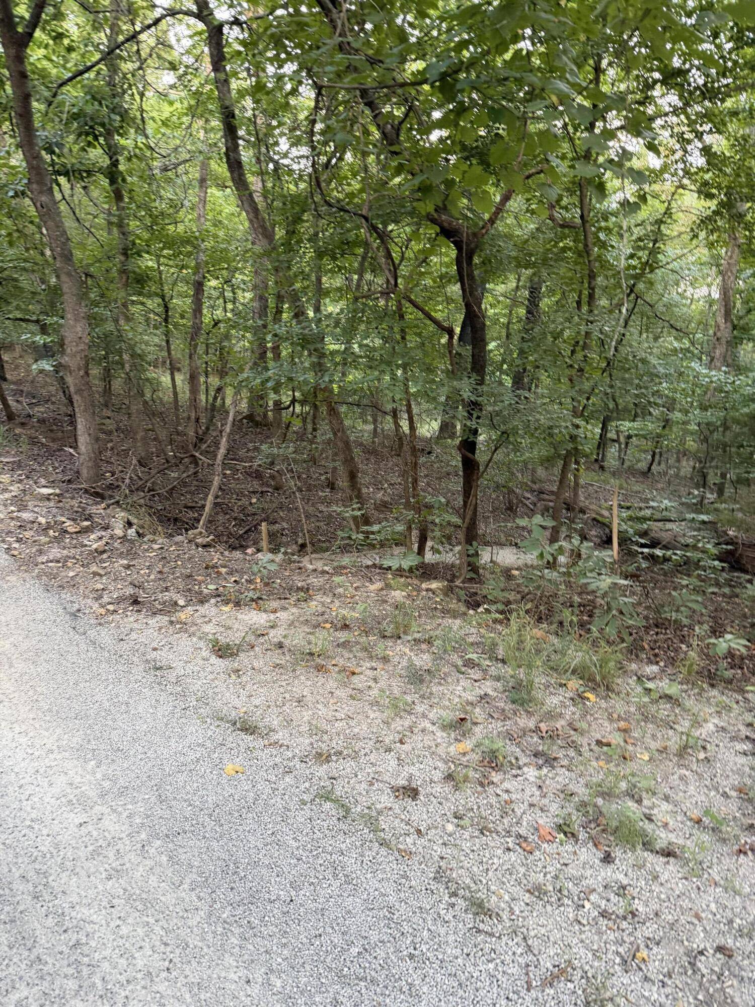Tbd Chiefs LN, Shell Knob, MO 65747