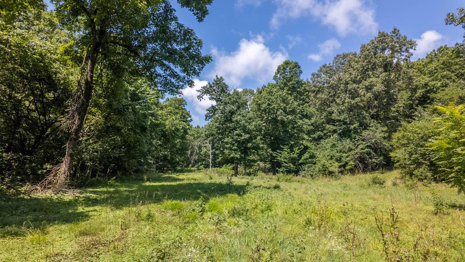 Tract 1 Upper Janes Creek RD, Ravenden, AR 72459