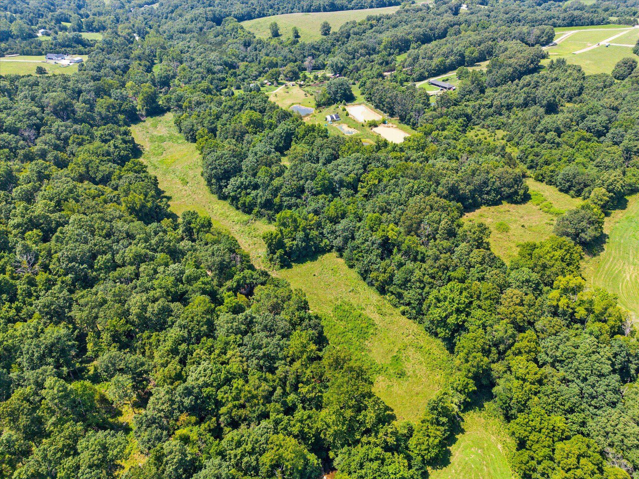 000 Green Hill RD, Fordland, MO 65652