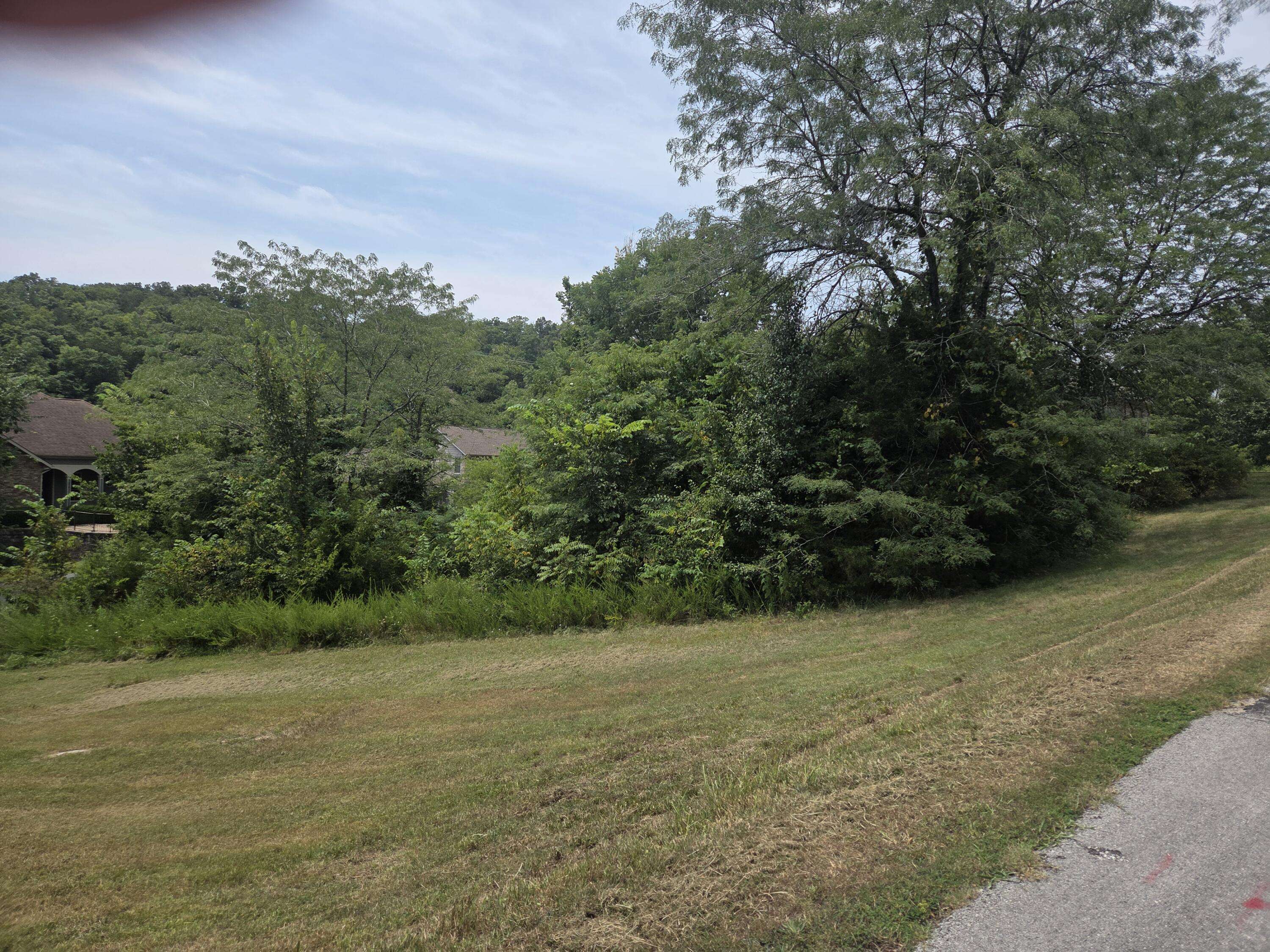 Lot 30 Roark Branch Road, Branson West, MO 65737