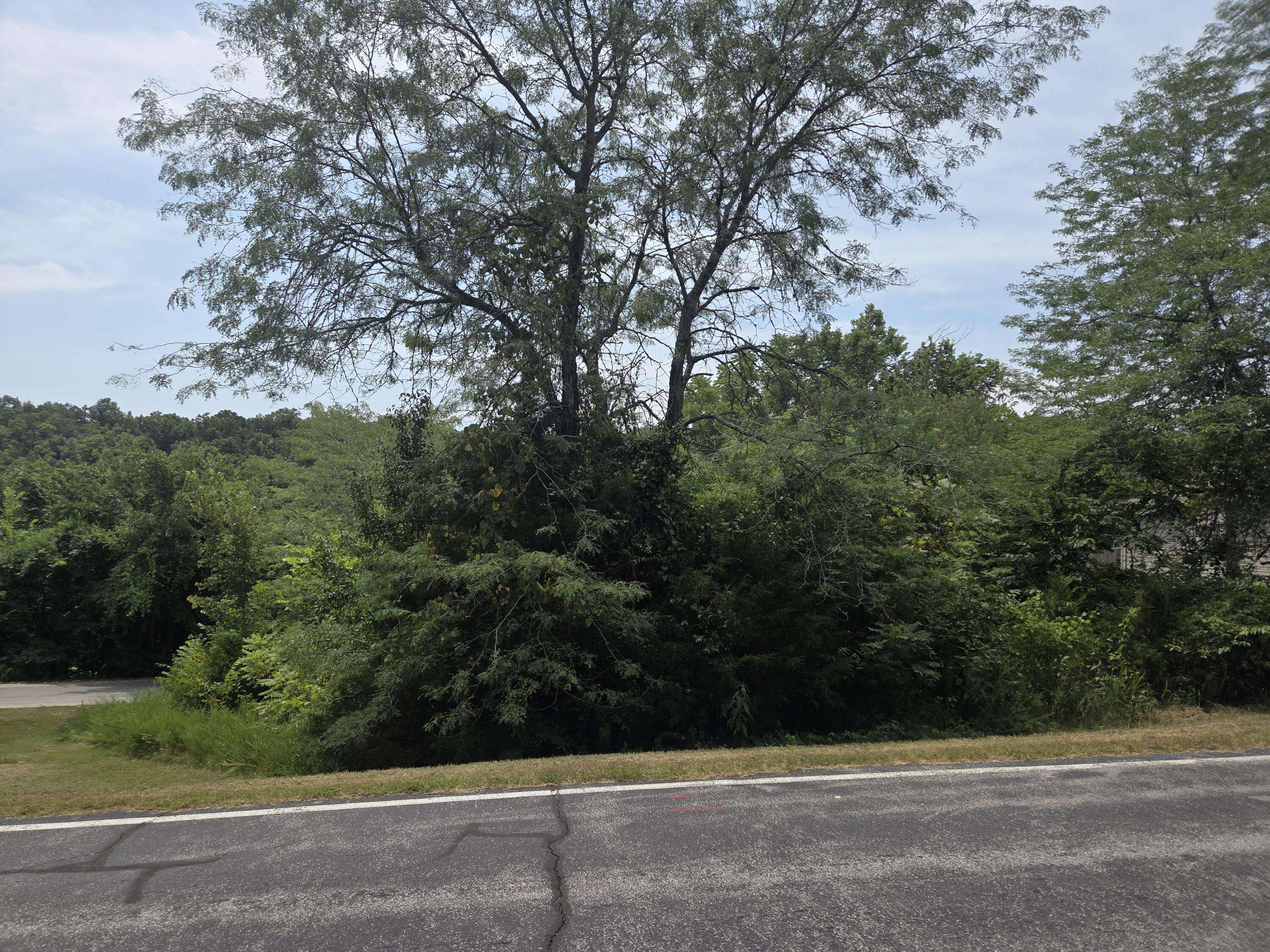 Lot 30 Roark Branch Road, Branson West, MO 65737