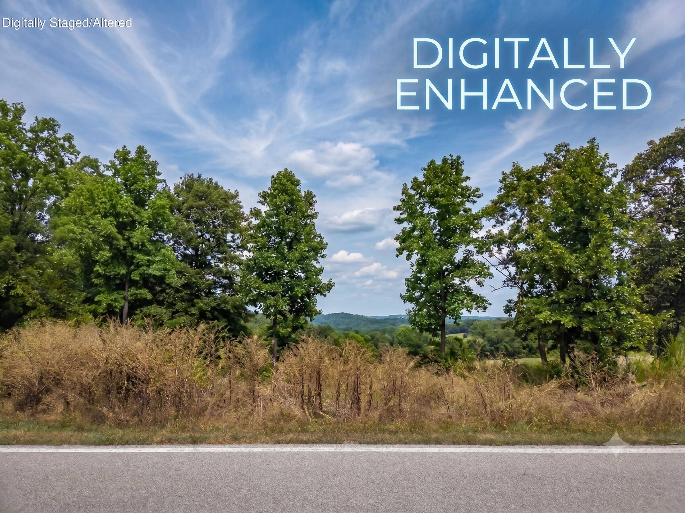 Lot 175 Black Forest LN, Branson West, MO 65737