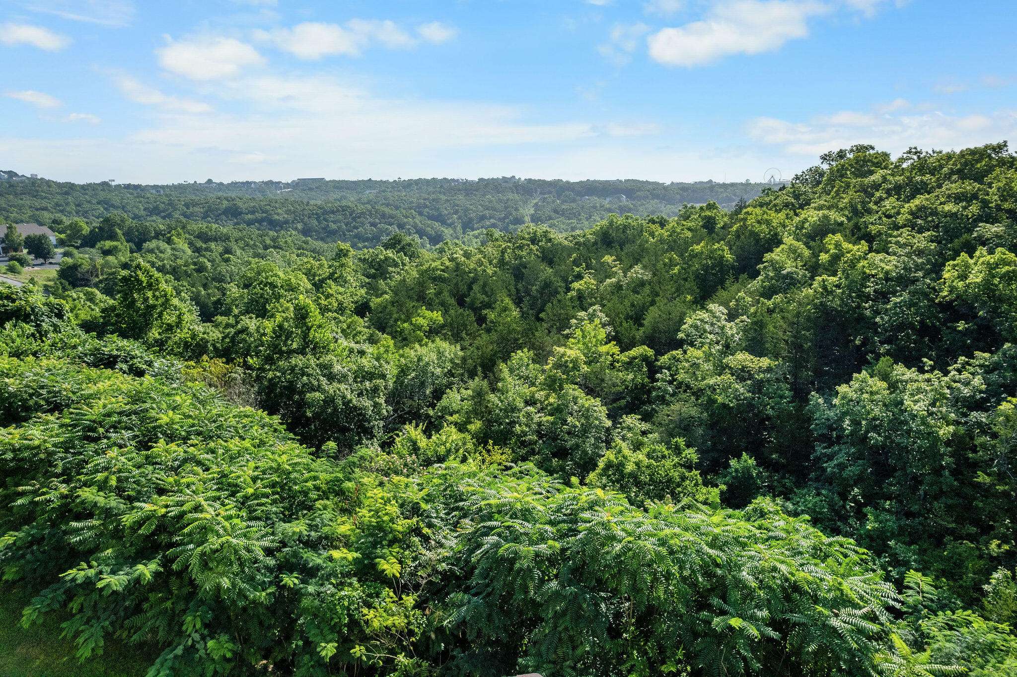 2919 Vinyards Pkwy #2, Branson, MO 65616
