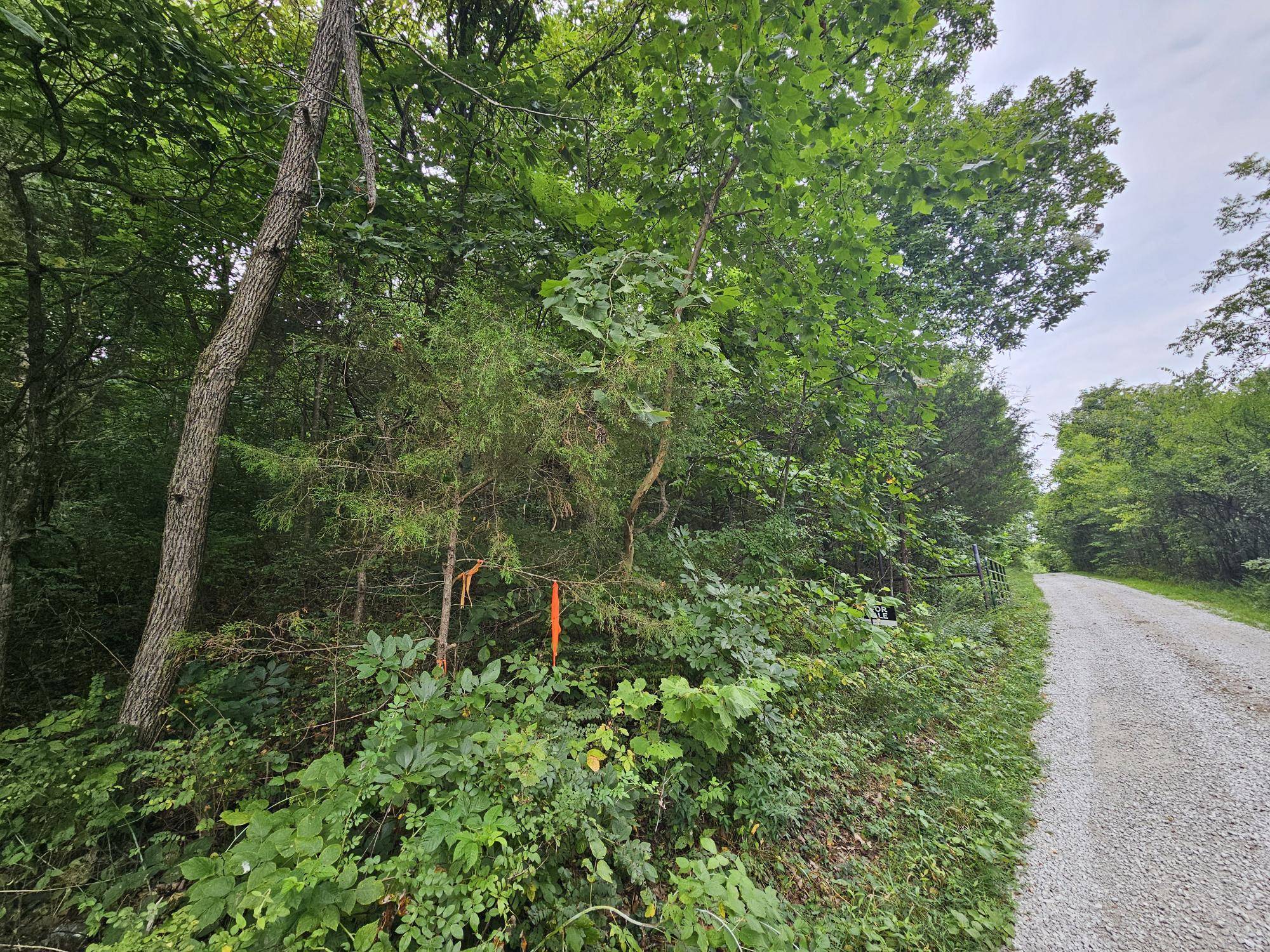 000-18 Ac Westview RD, Neosho, MO 64850