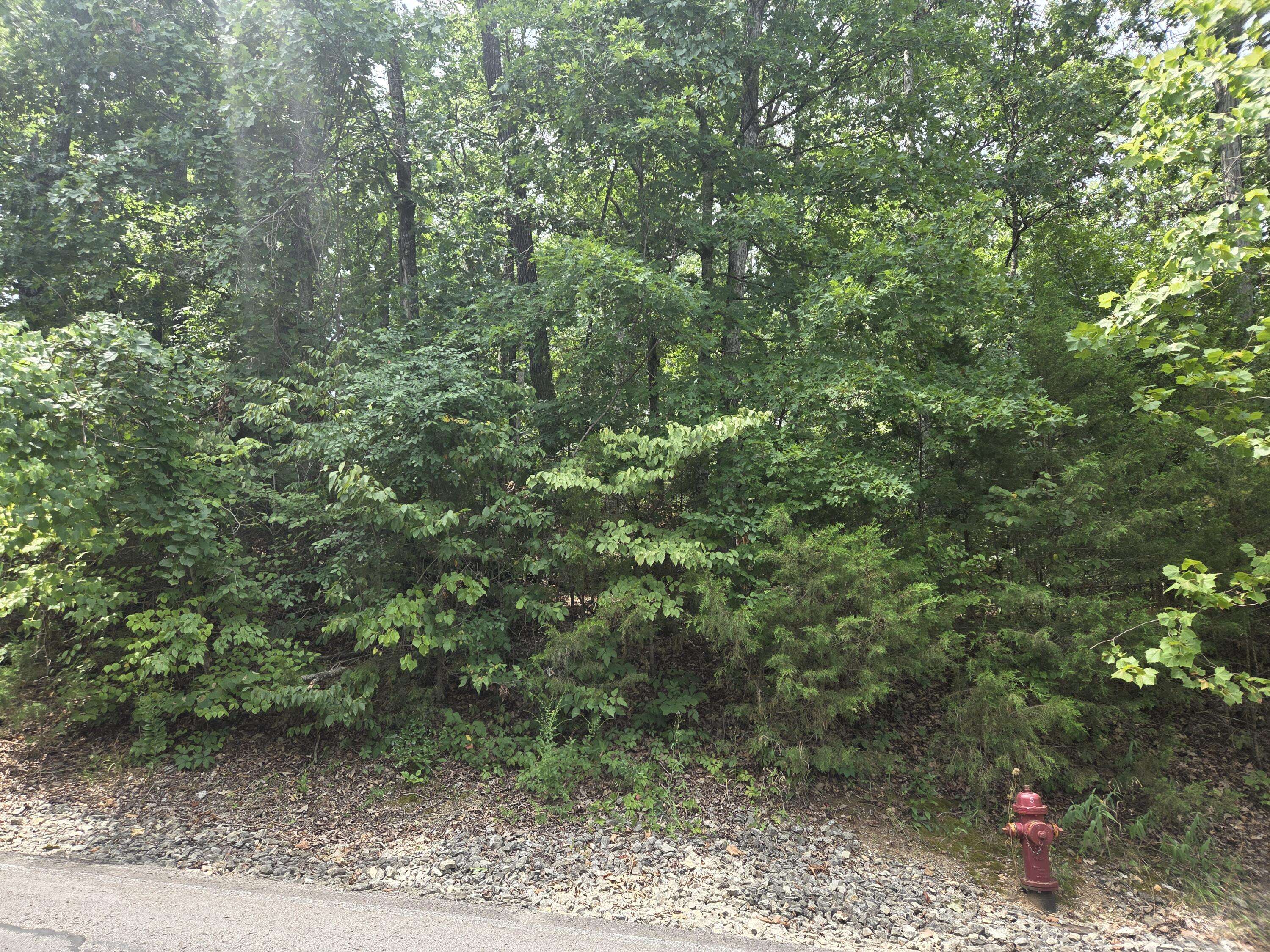 Lot 13 Silvercliff WAY, Branson West, MO 65737