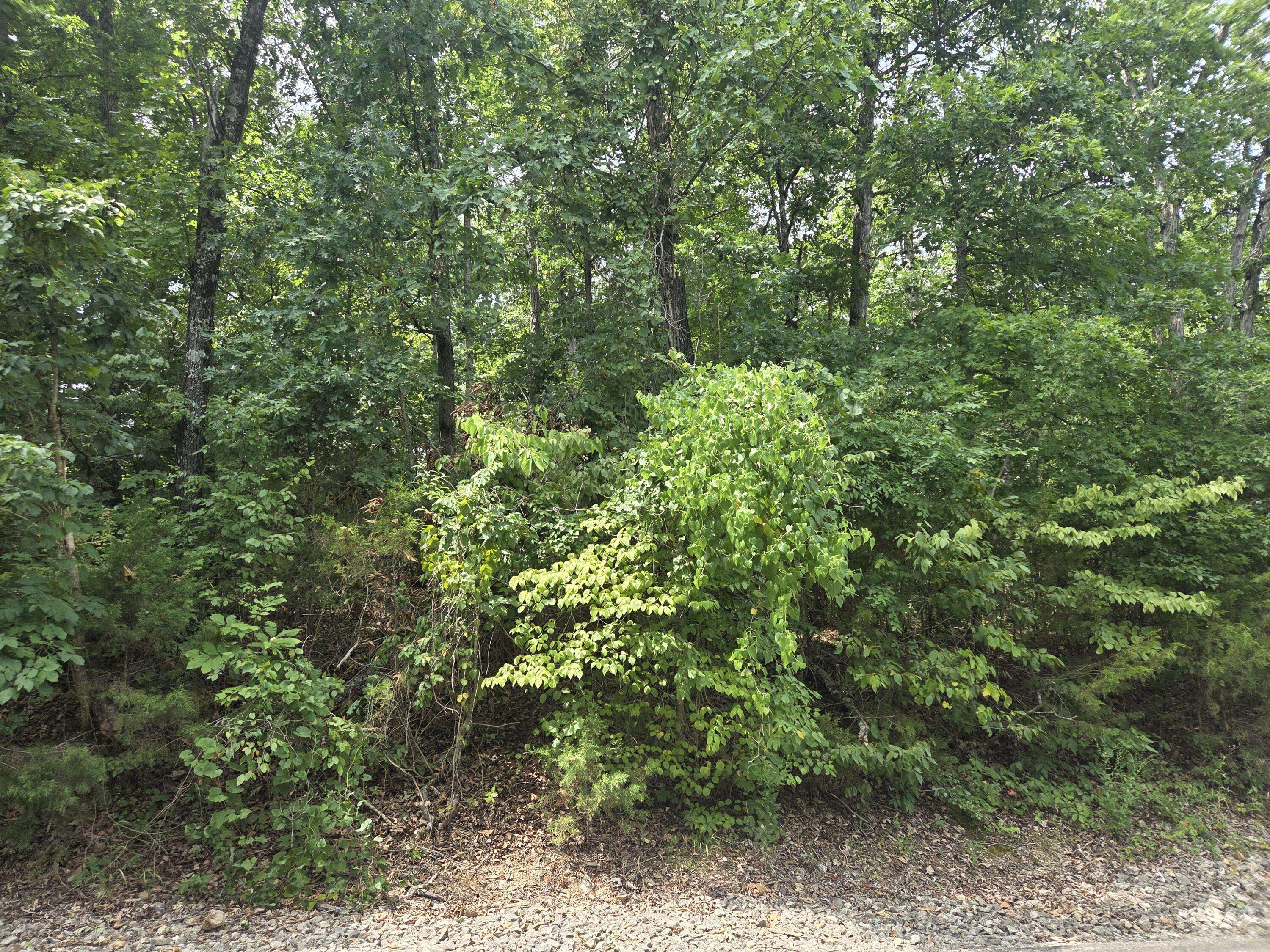 Lot 13 Silvercliff WAY, Branson West, MO 65737