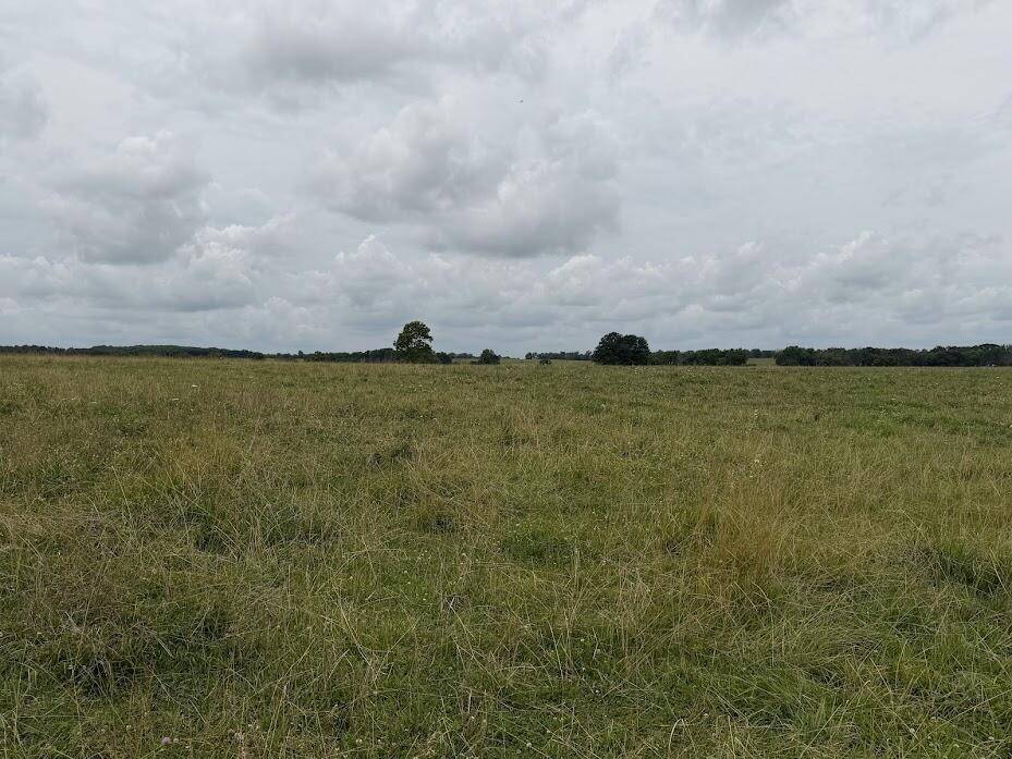 Tract 4 State Route T, Bolivar, MO 65613