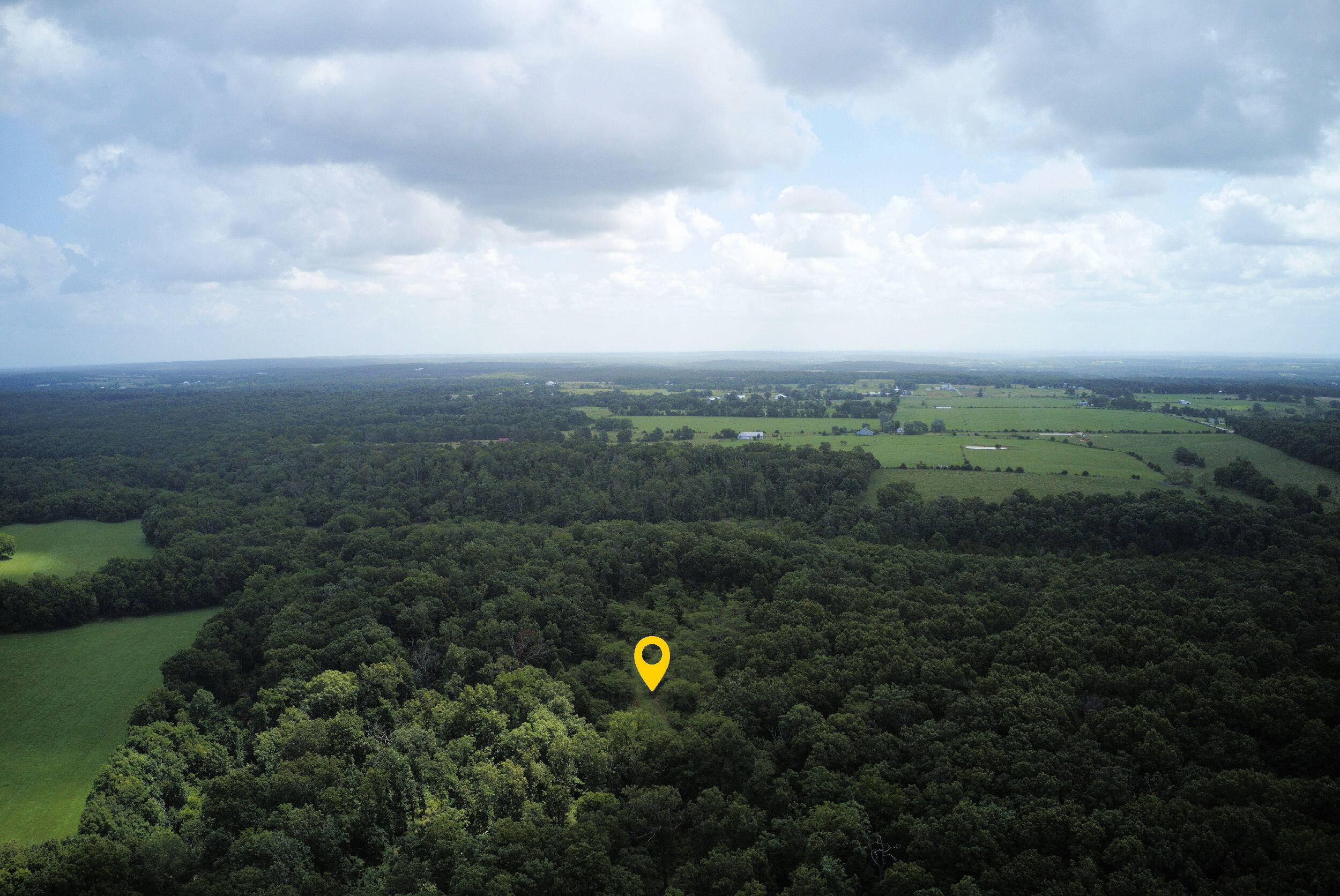 000 Nation School RD, Marshfield, MO 65706