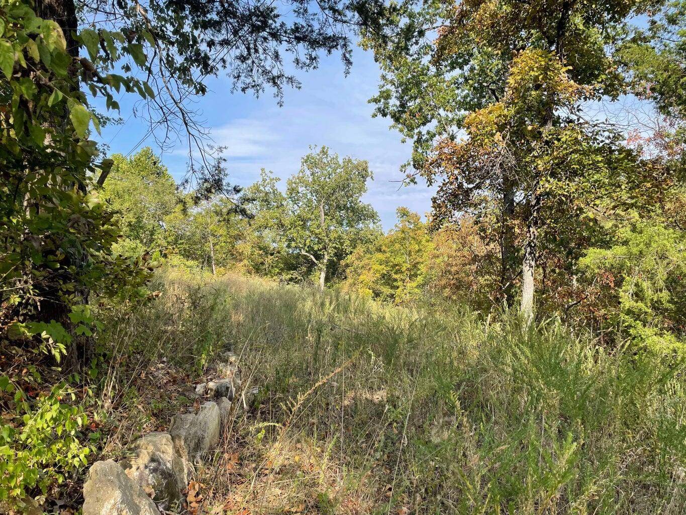 000 Lakeview DR, Hollister, MO 65672