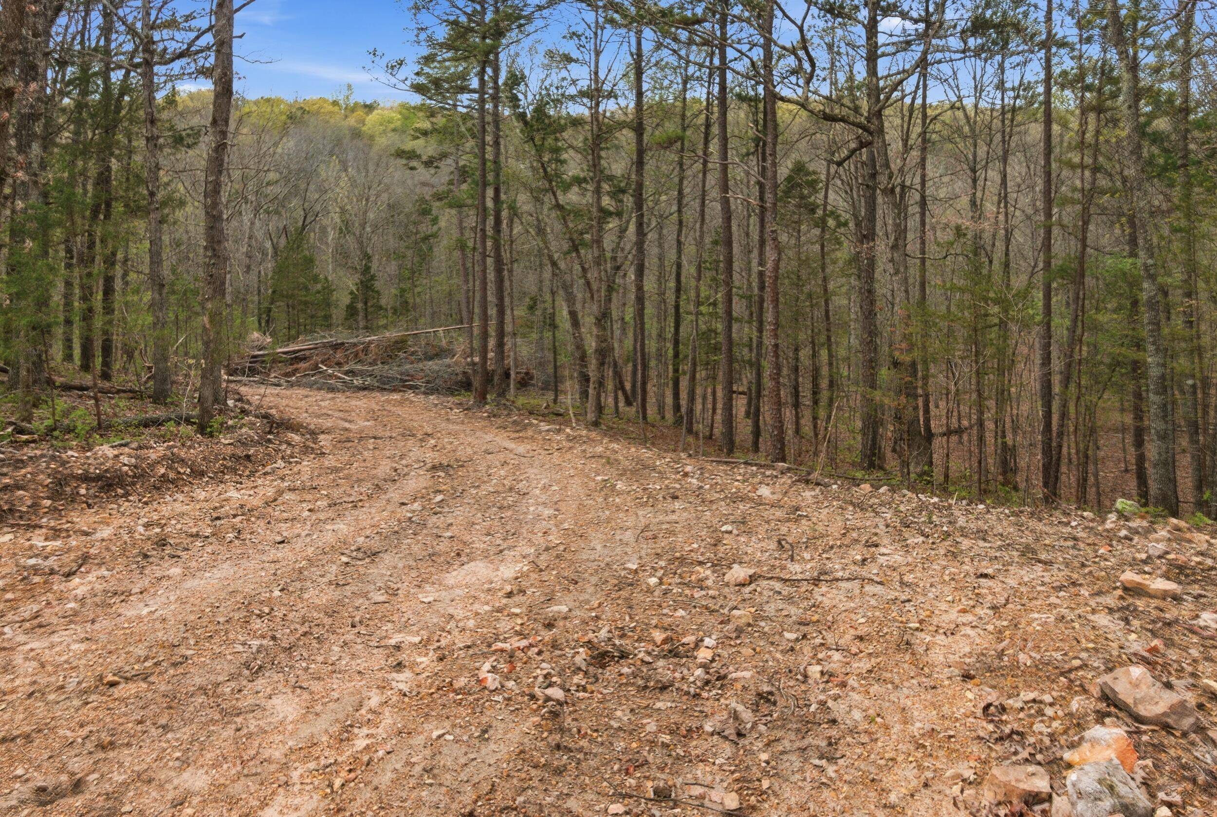Tract 5 W Highway 32, Licking, MO 65542