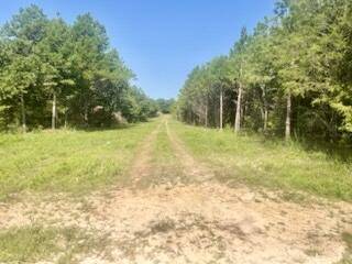 Tract 1&2 W Highway 32, Licking, MO 65542