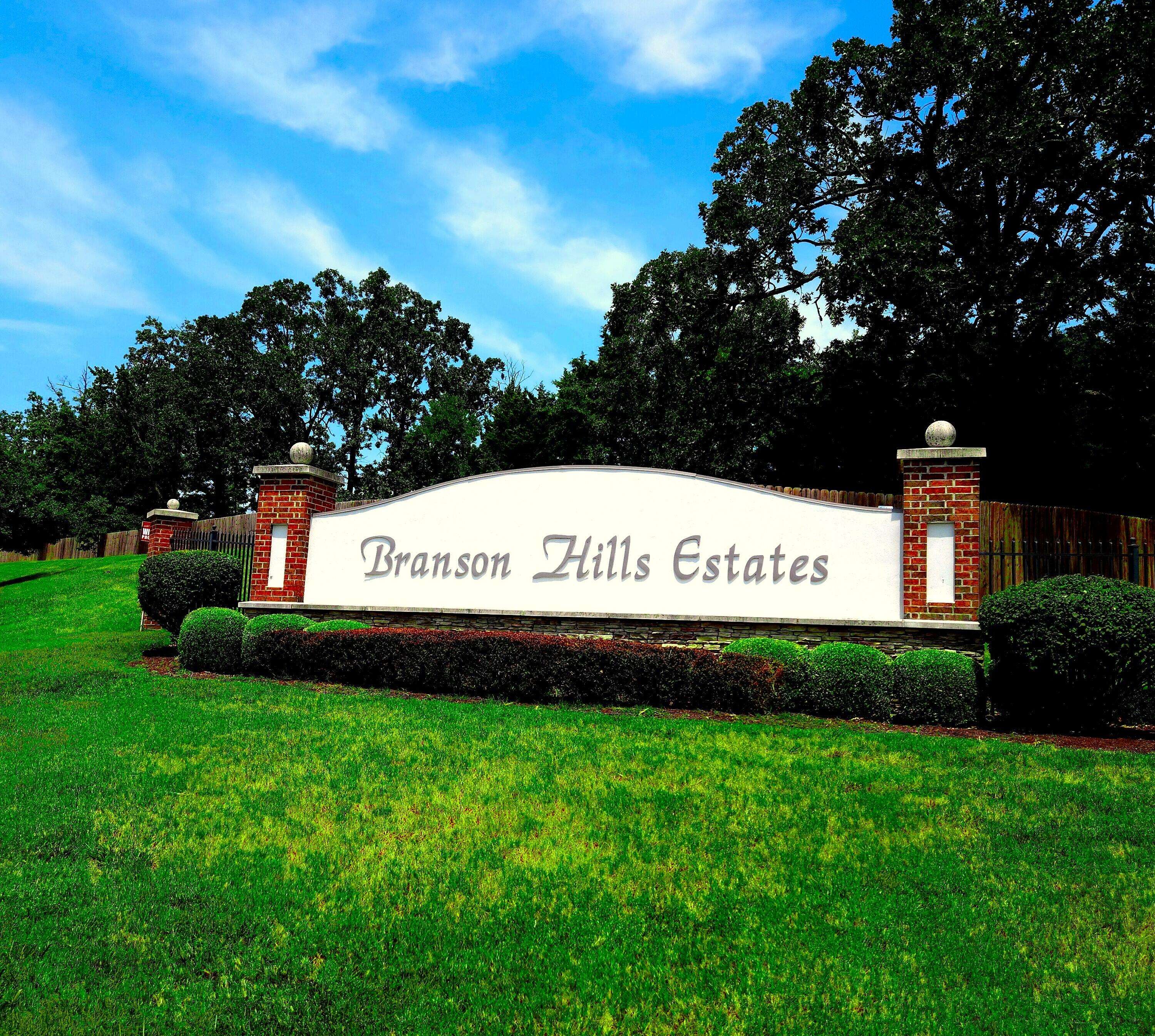 Tbd Olympic DR, Branson, MO 65616