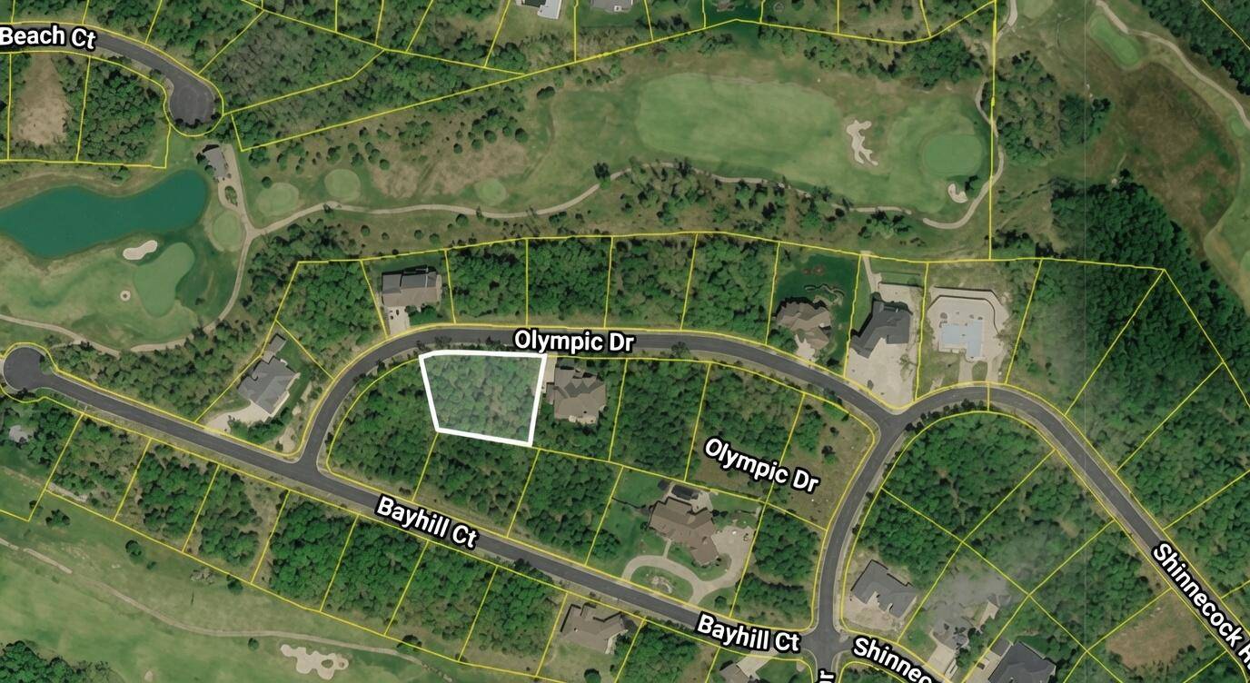 Tbd Olympic DR, Branson, MO 65616