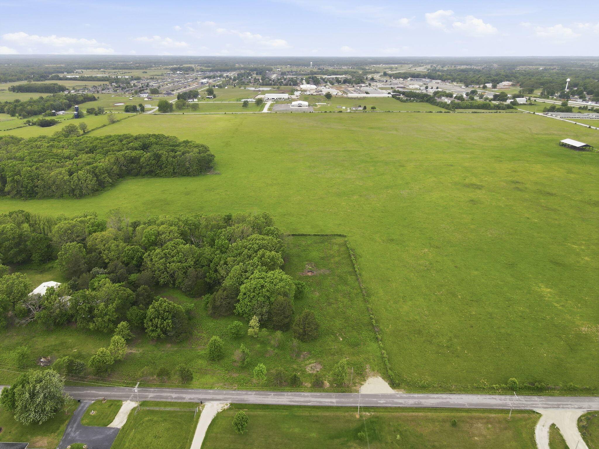 000 Chicory RD #Tract 1a, Rogersville, MO 65742