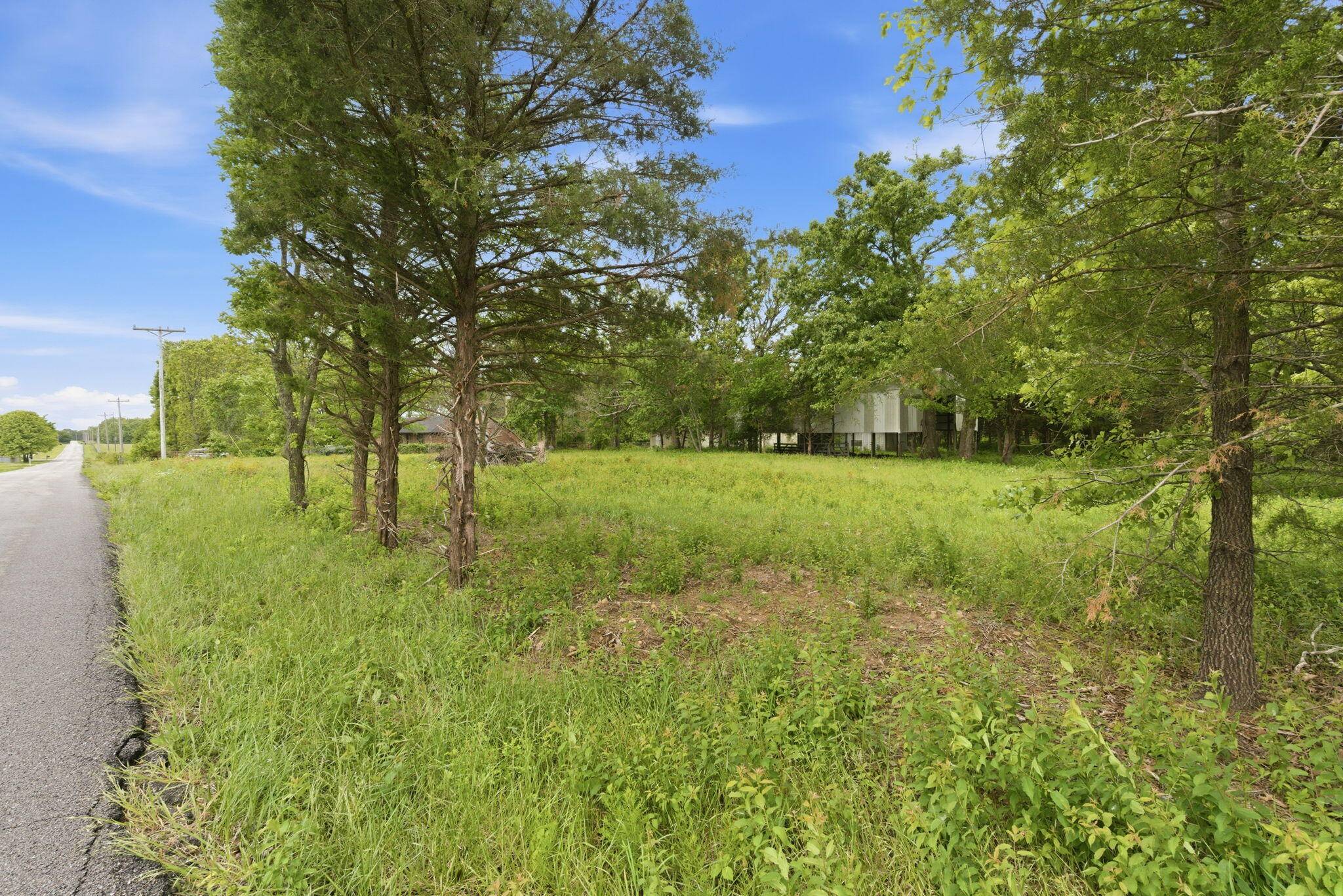 000 Chicory RD #Tract 3a, Rogersville, MO 65742