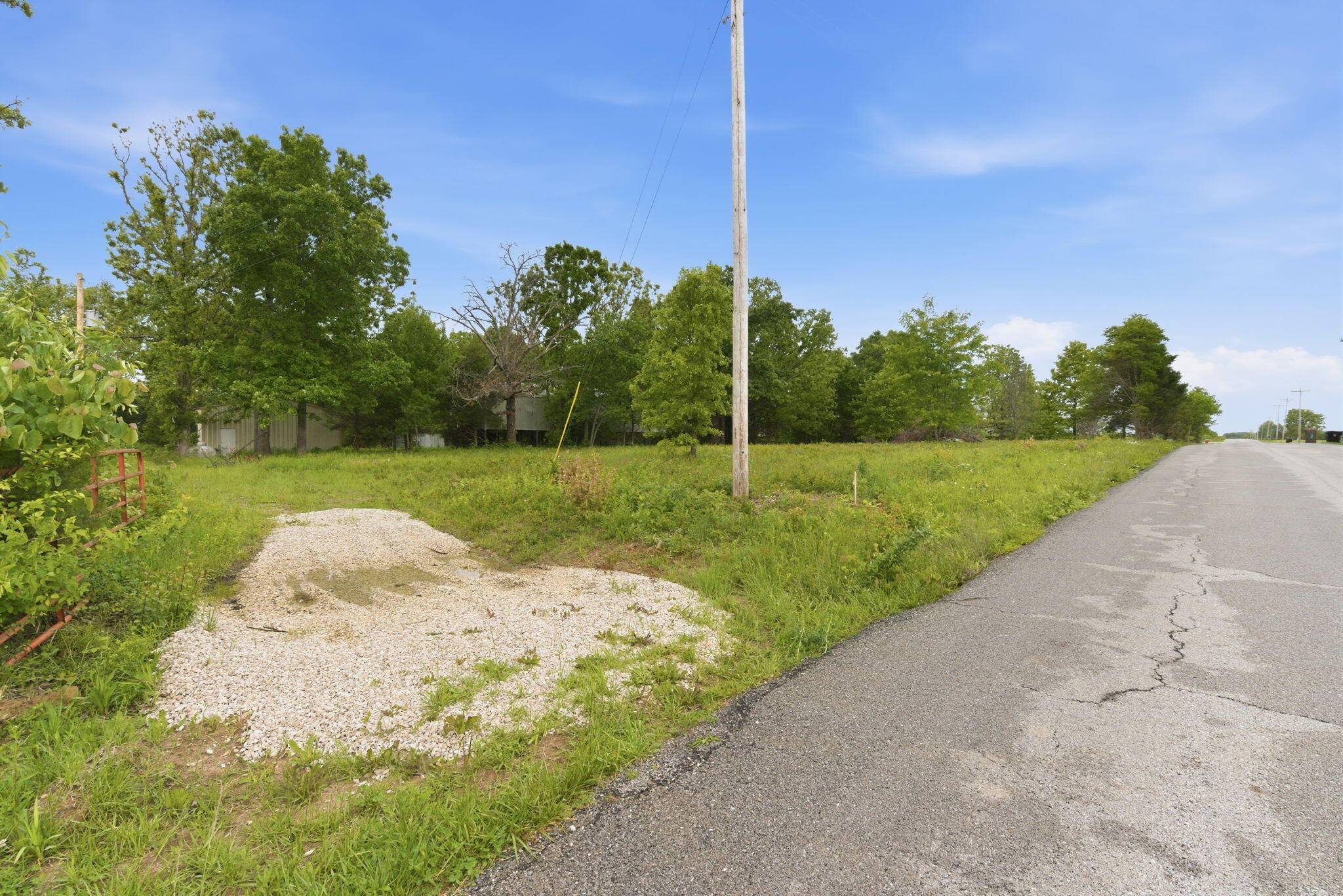 000 Chicory RD #Tract 3a, Rogersville, MO 65742