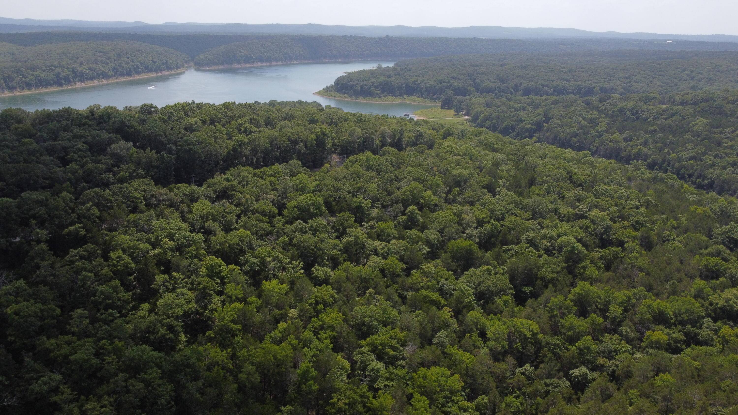 000 Persinger RD, Cedarcreek, MO 65627