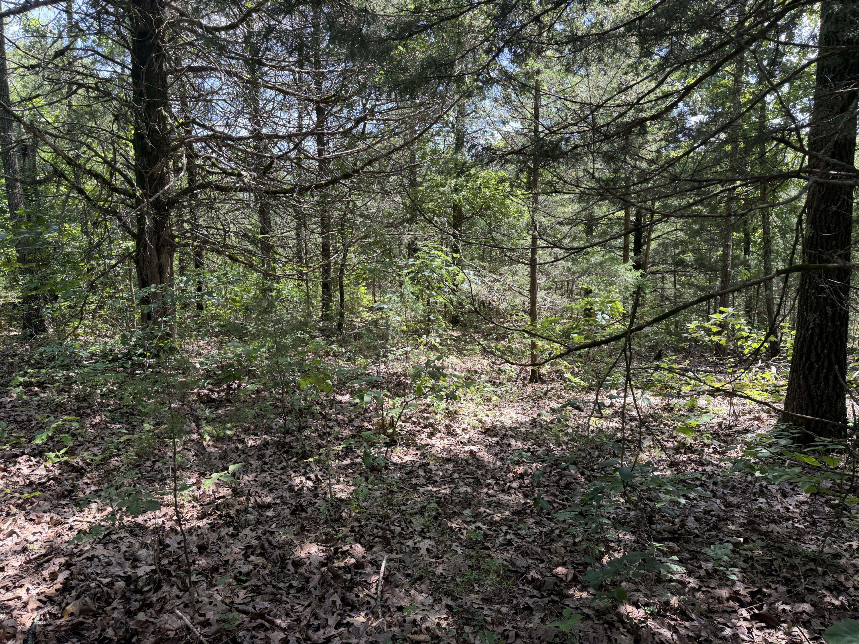 000 Ranch Road, Willow Springs, MO 65793
