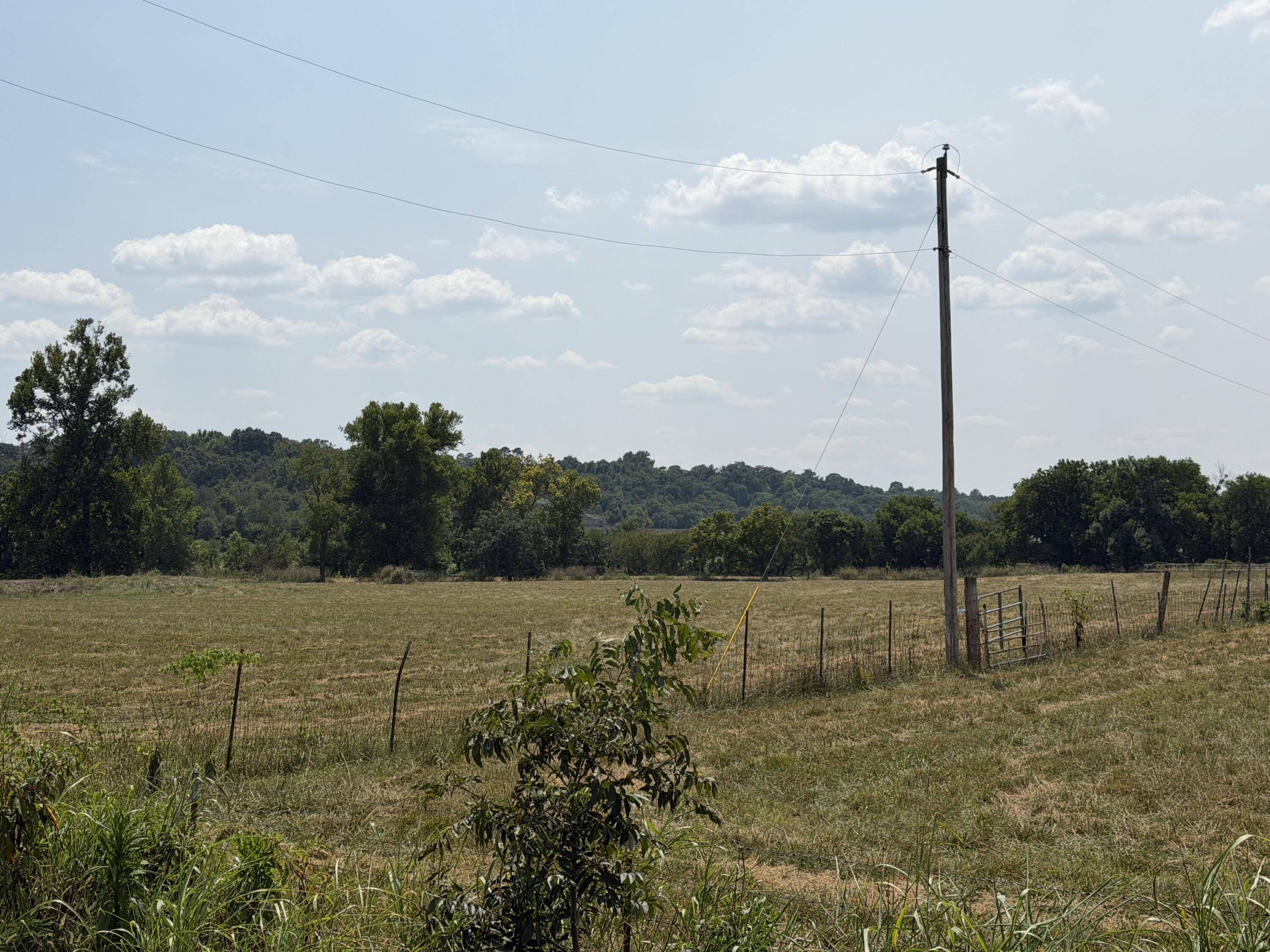 85 Quarter Horse LN, Pineville, MO 64856