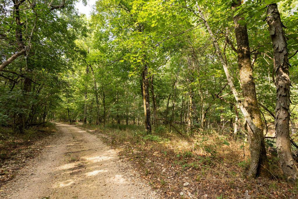 000 Misty Springs RD, Galena, MO 65656
