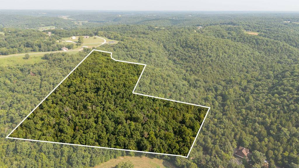 000 Misty Springs RD, Galena, MO 65656