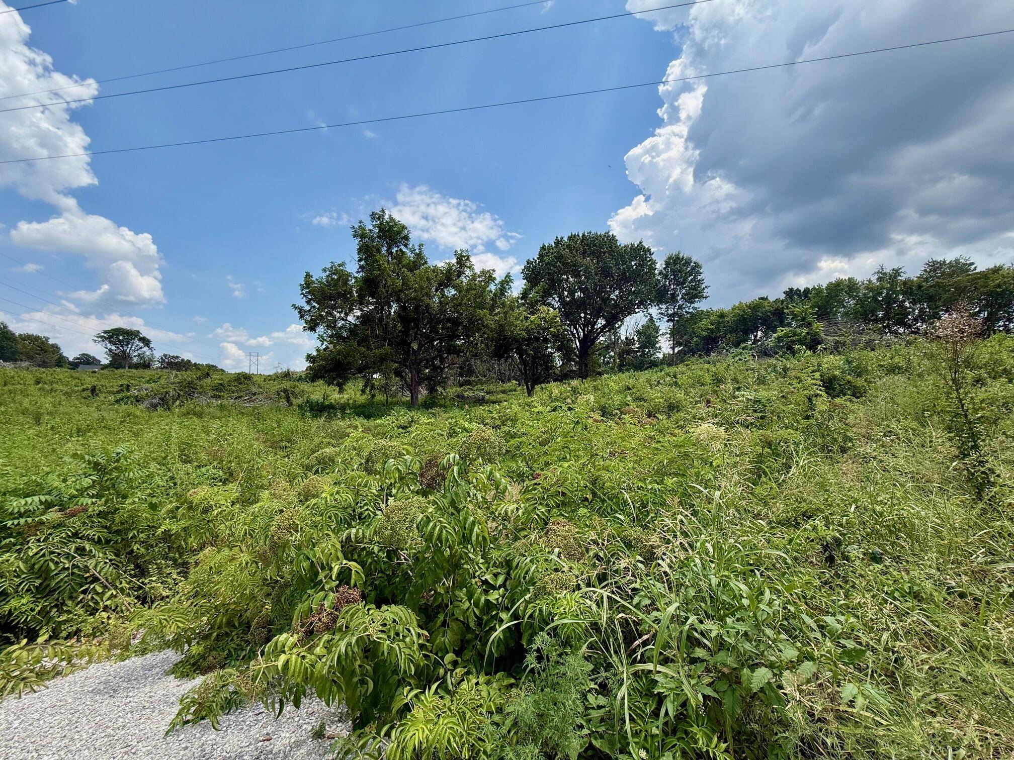Xxx Oak Ridge DR, Neosho, MO 64850