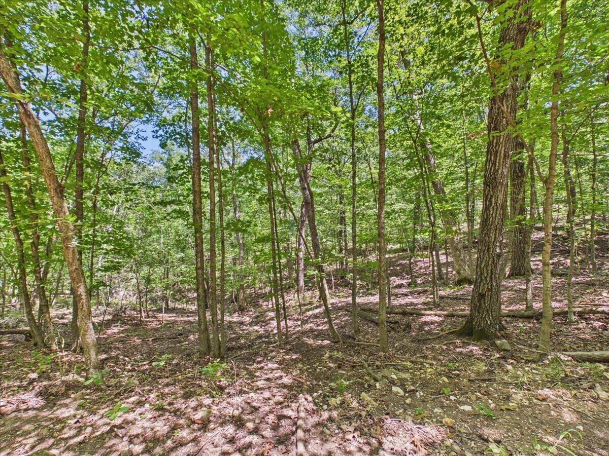 26325-T2 State Highway Ra, Pittsburg, MO 65724