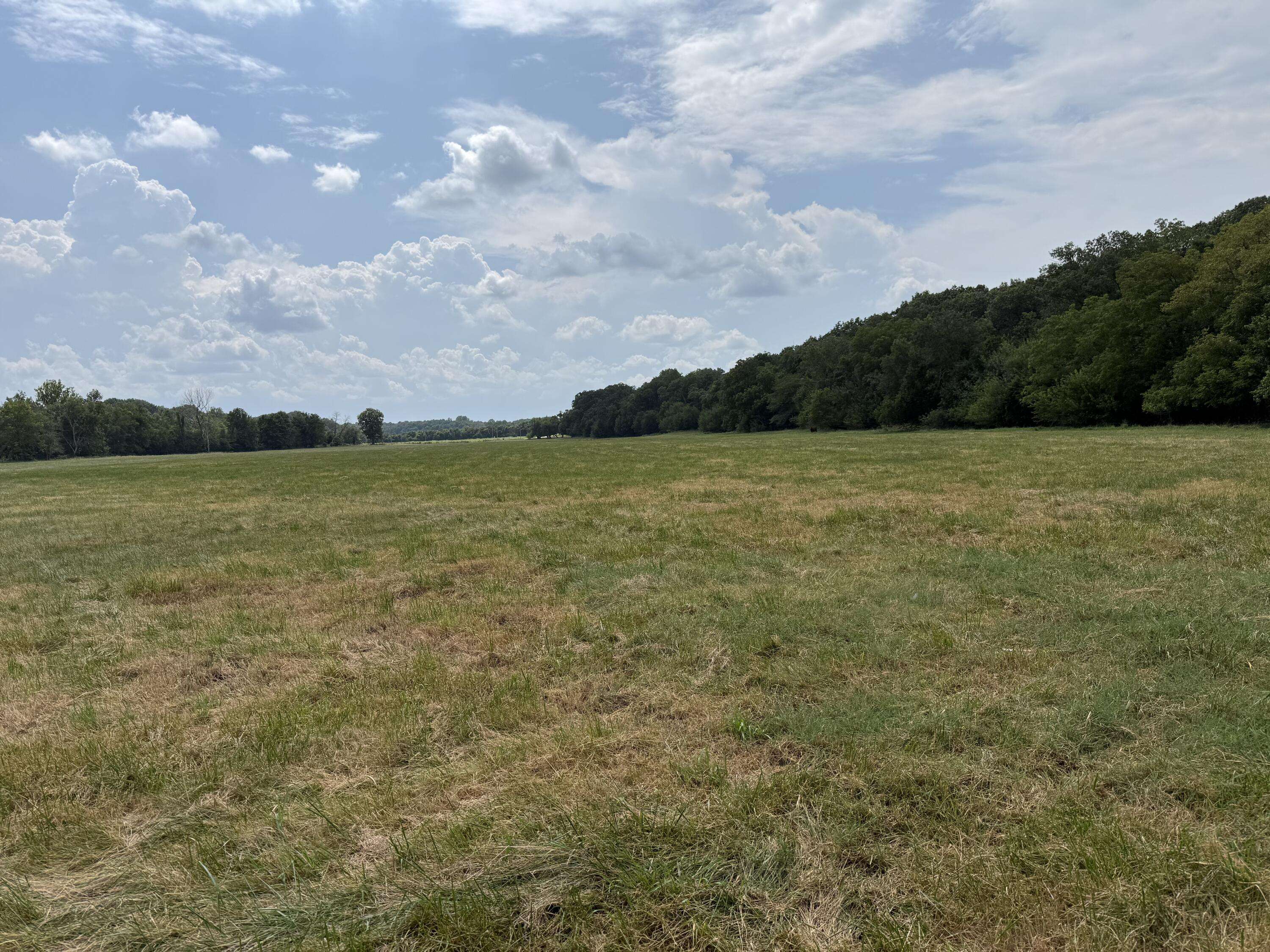 Tract 1 W Farm Road 168, Republic, MO 65738