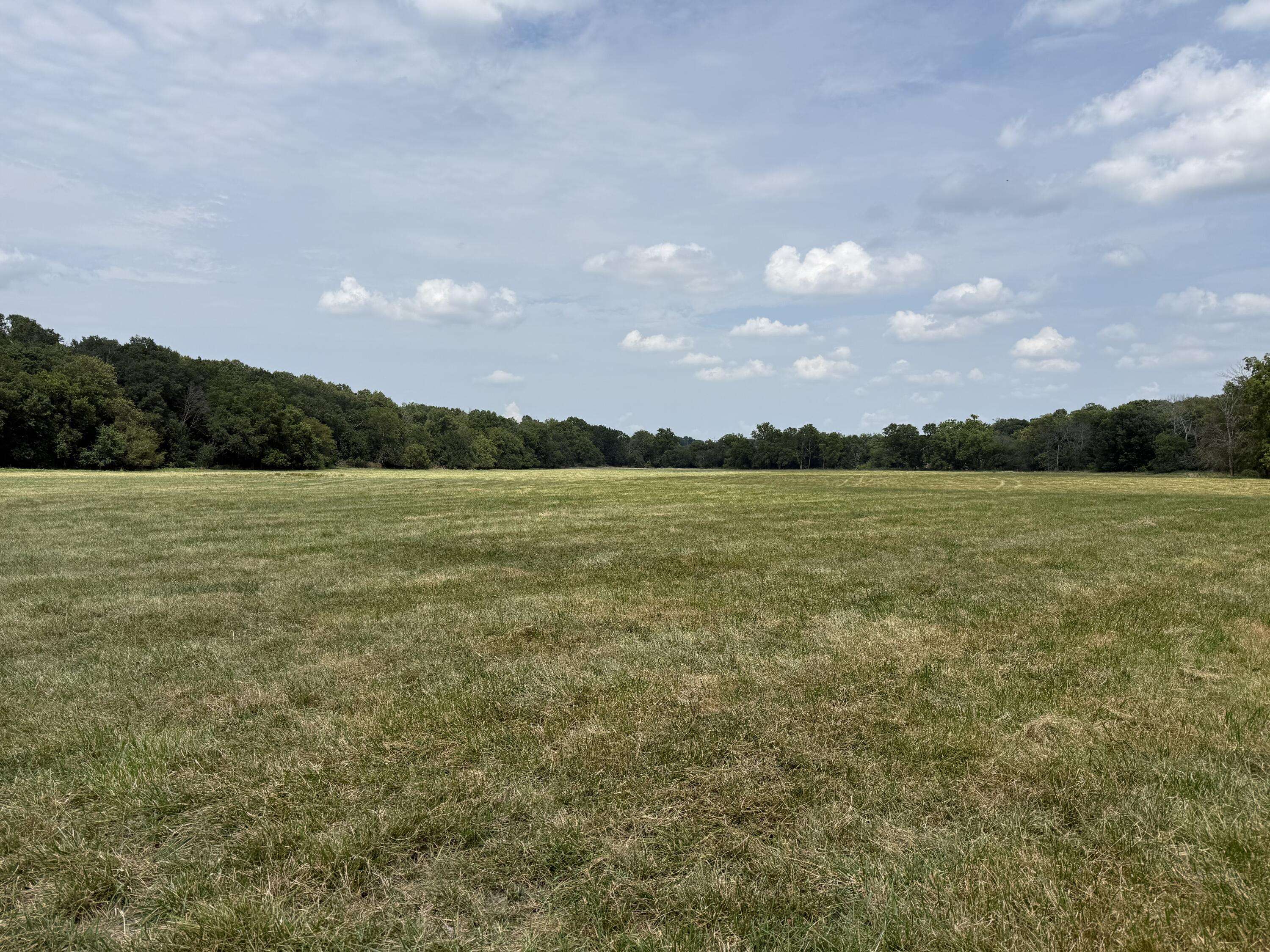 Tract 1 W Farm Road 168, Republic, MO 65738