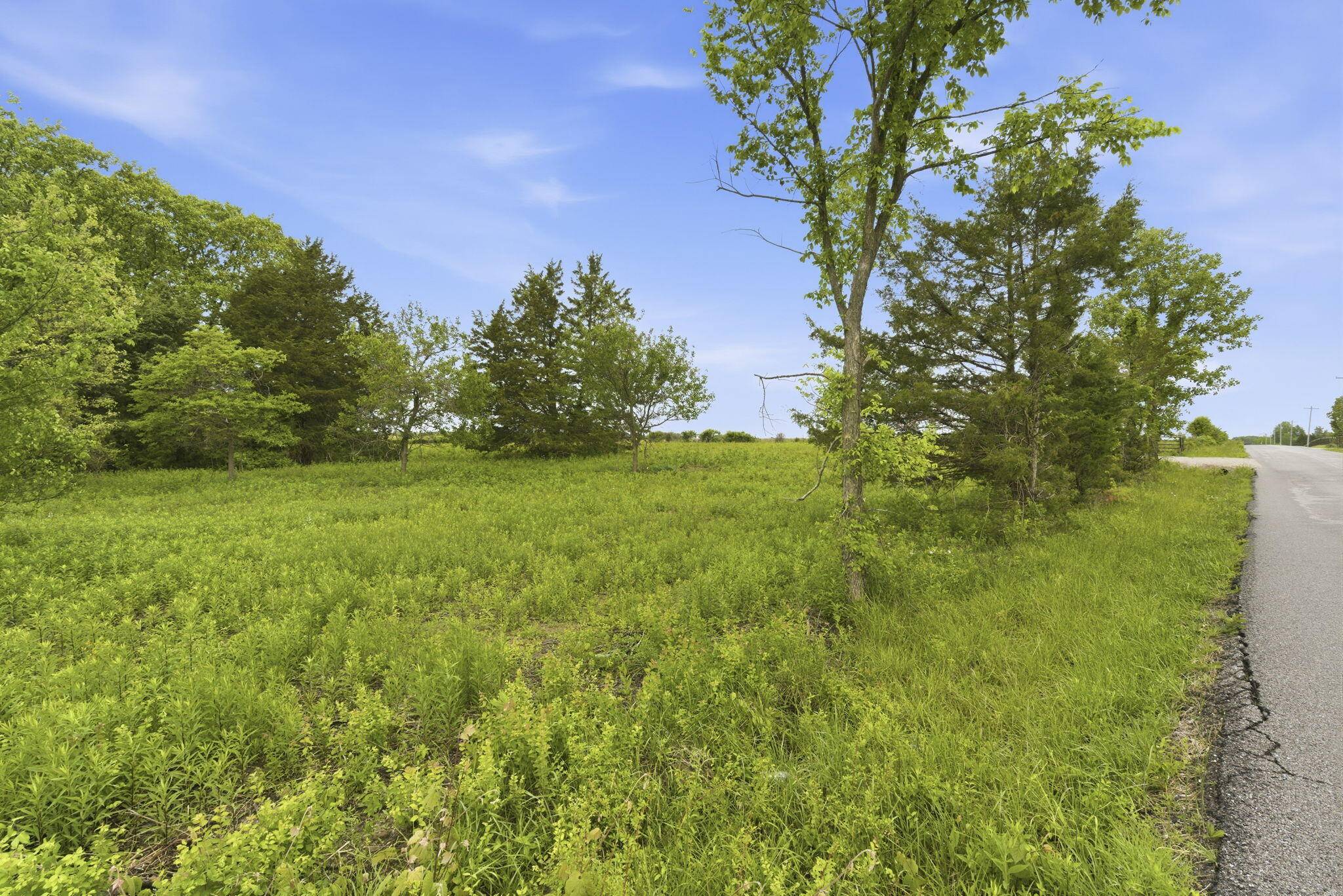 000 Chicory RD #Tract 2, Rogersville, MO 65742